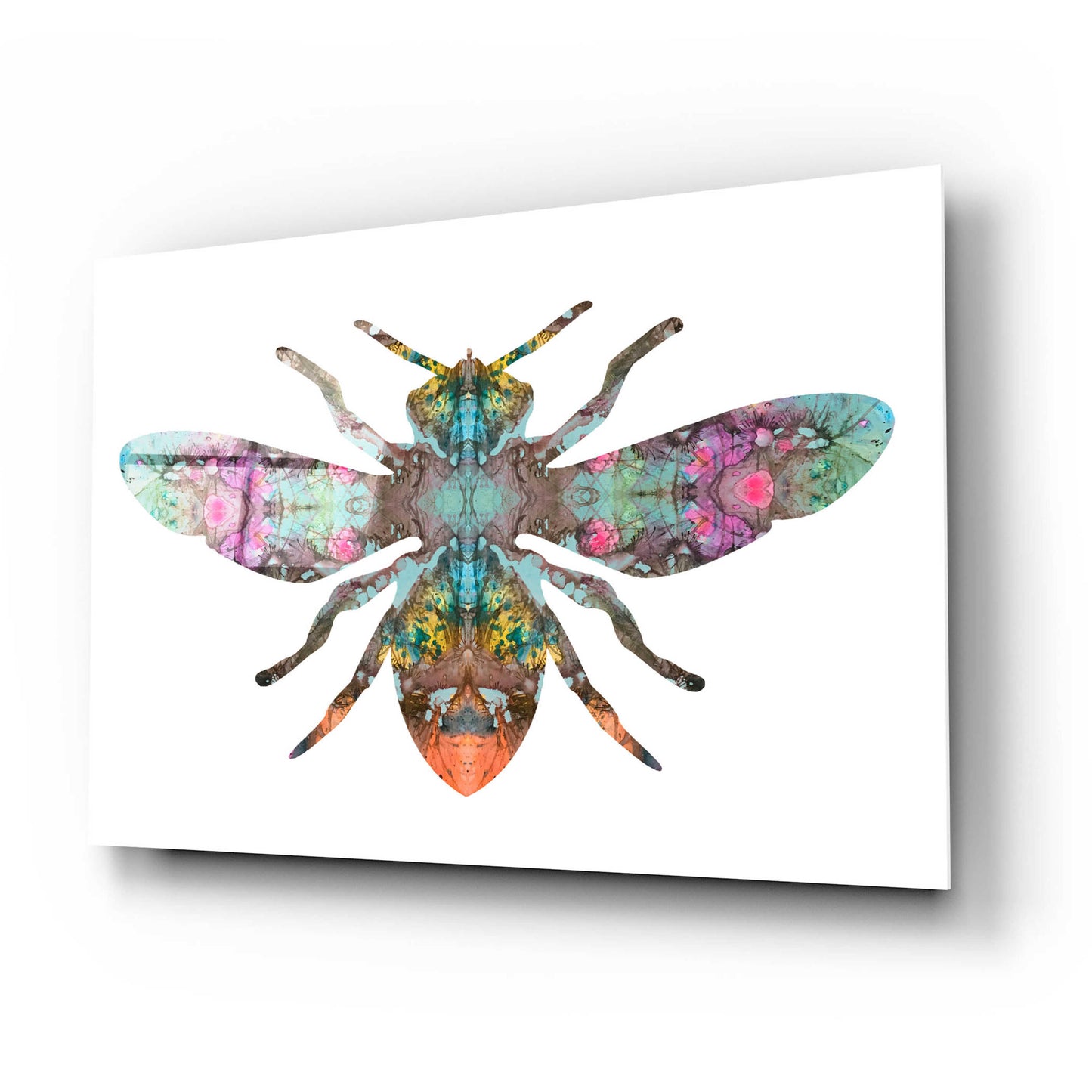 Epic Art 'Transverse Bee' by Dean Russo, Acrylic Glass Wall Art,24x16