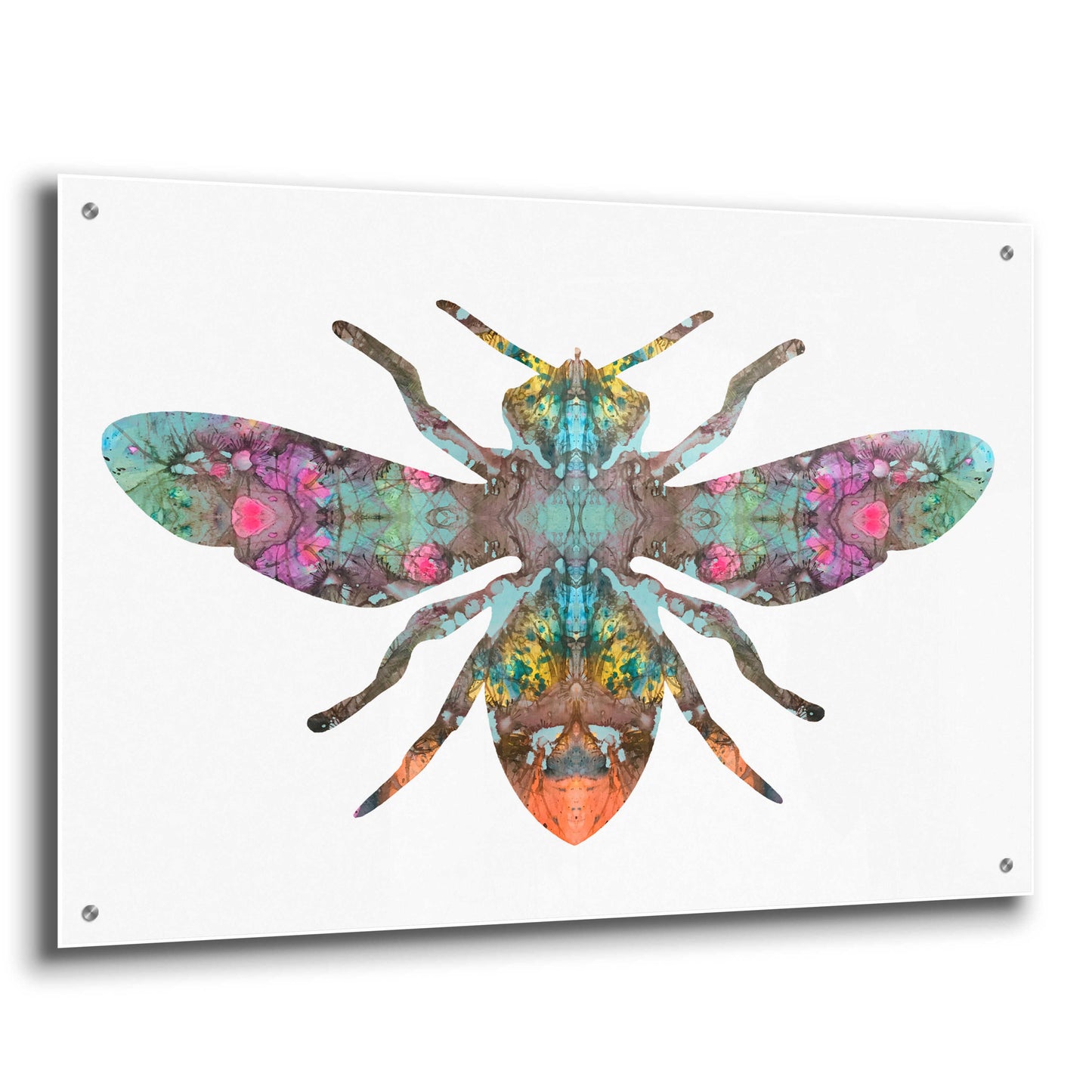 Epic Art 'Transverse Bee' by Dean Russo, Acrylic Glass Wall Art,36x24