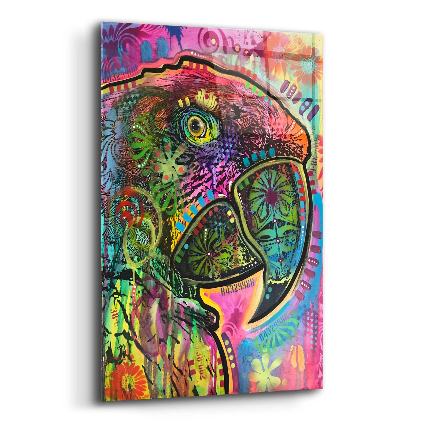 Epic Art 'Close Up Parrot' by Dean Russo, Acrylic Glass Wall Art,12x16