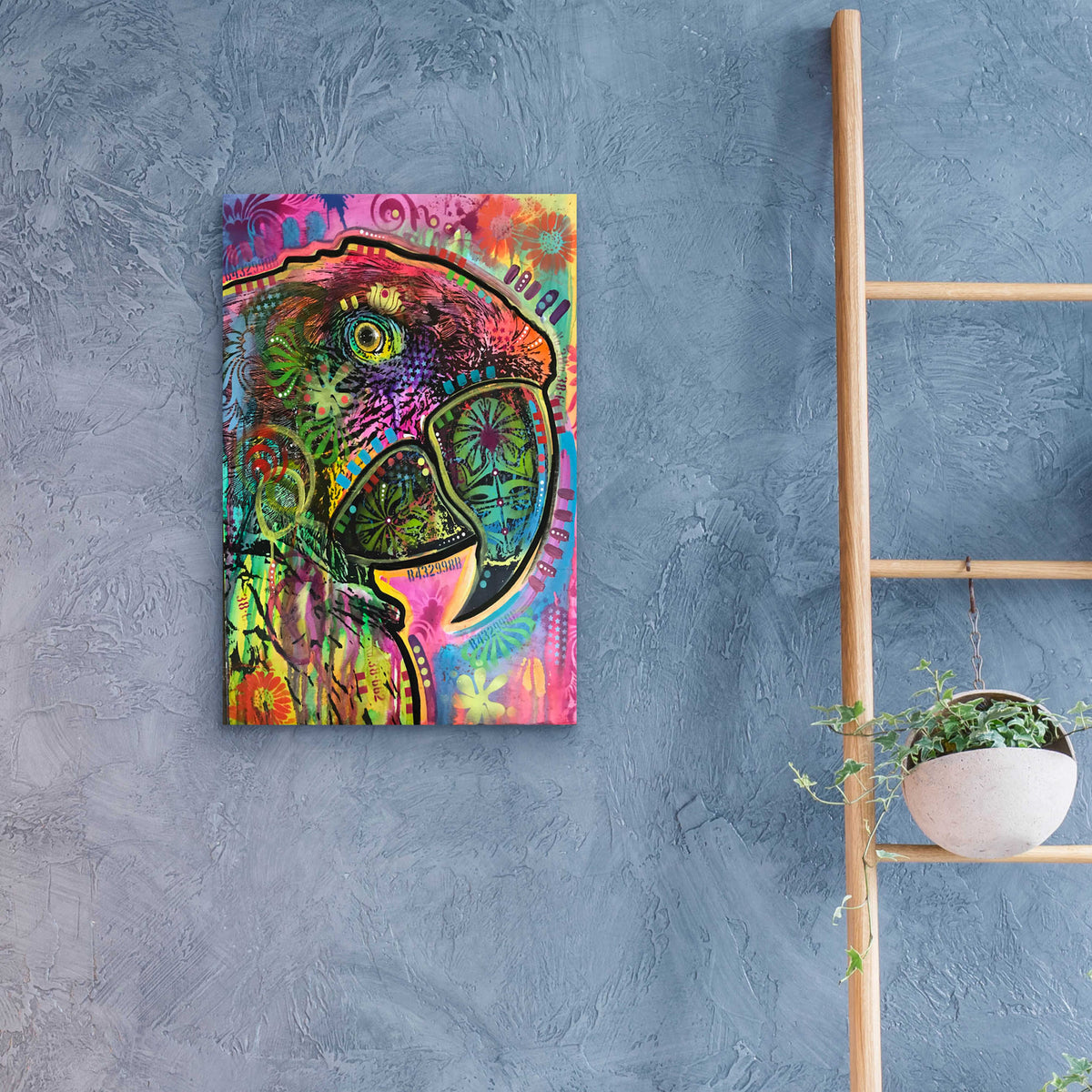 Epic Art 'Close Up Parrot' by Dean Russo, Acrylic Glass Wall Art,16x24