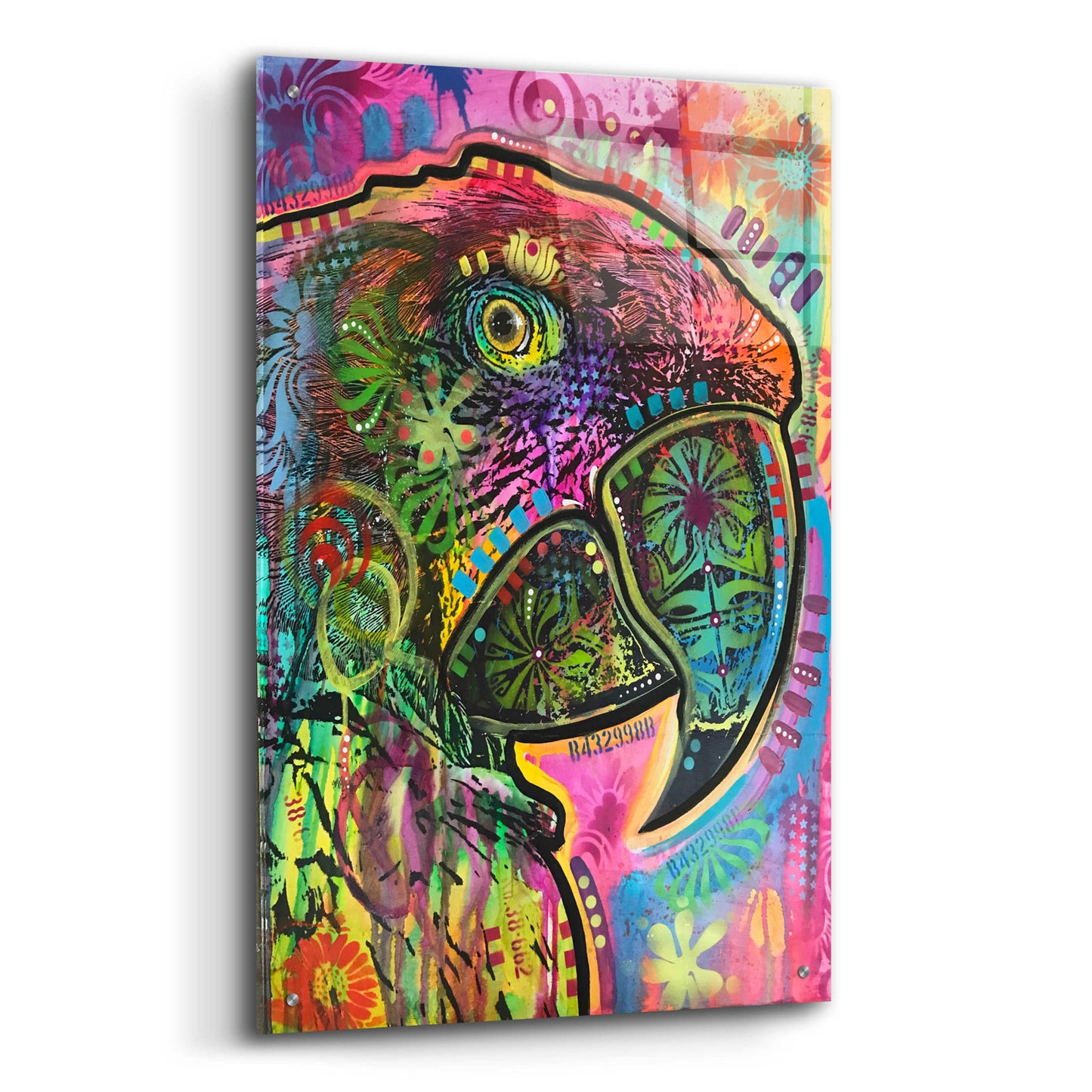 Epic Art 'Close Up Parrot' by Dean Russo, Acrylic Glass Wall Art,24x36