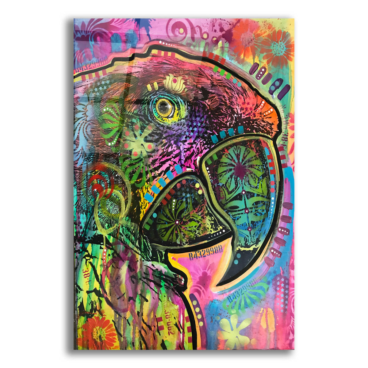 Epic Art 'Close Up Parrot' by Dean Russo, Acrylic Glass Wall Art