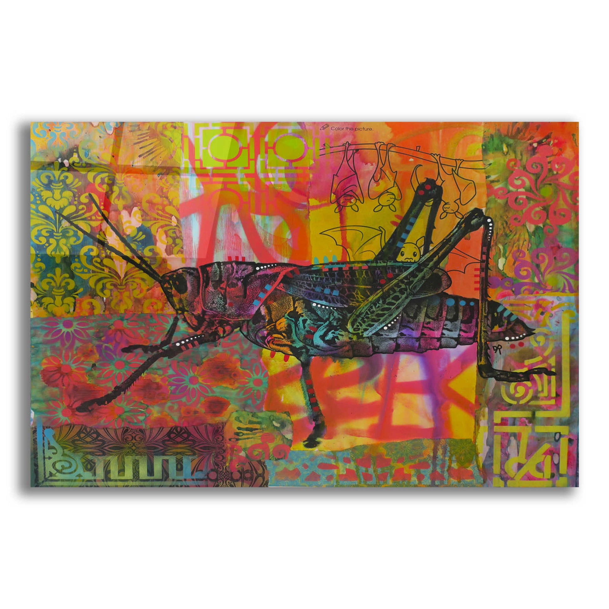 Epic Art 'Grasshopper' by Dean Russo, Acrylic Glass Wall Art,16x12