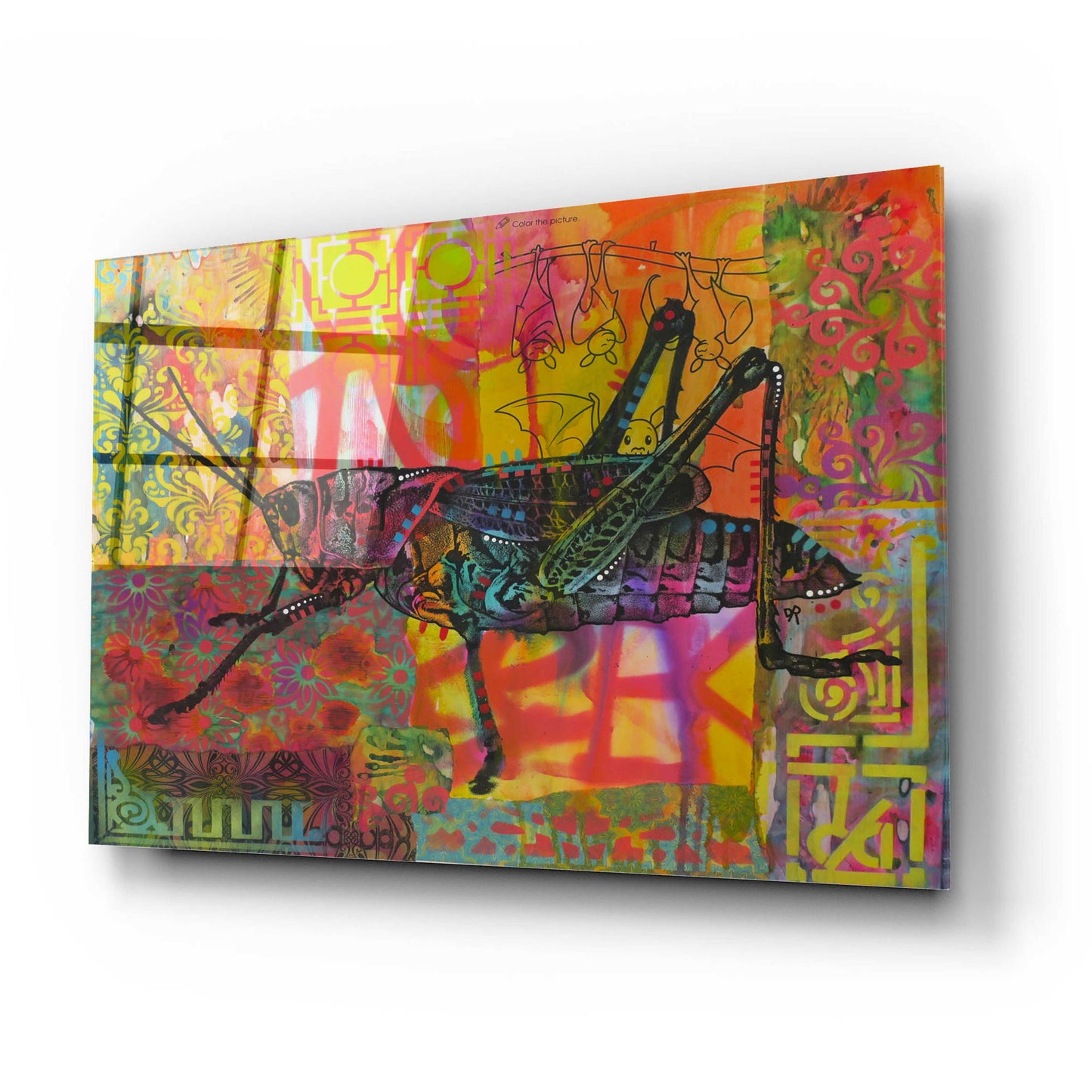 Epic Art 'Grasshopper' by Dean Russo, Acrylic Glass Wall Art,24x16