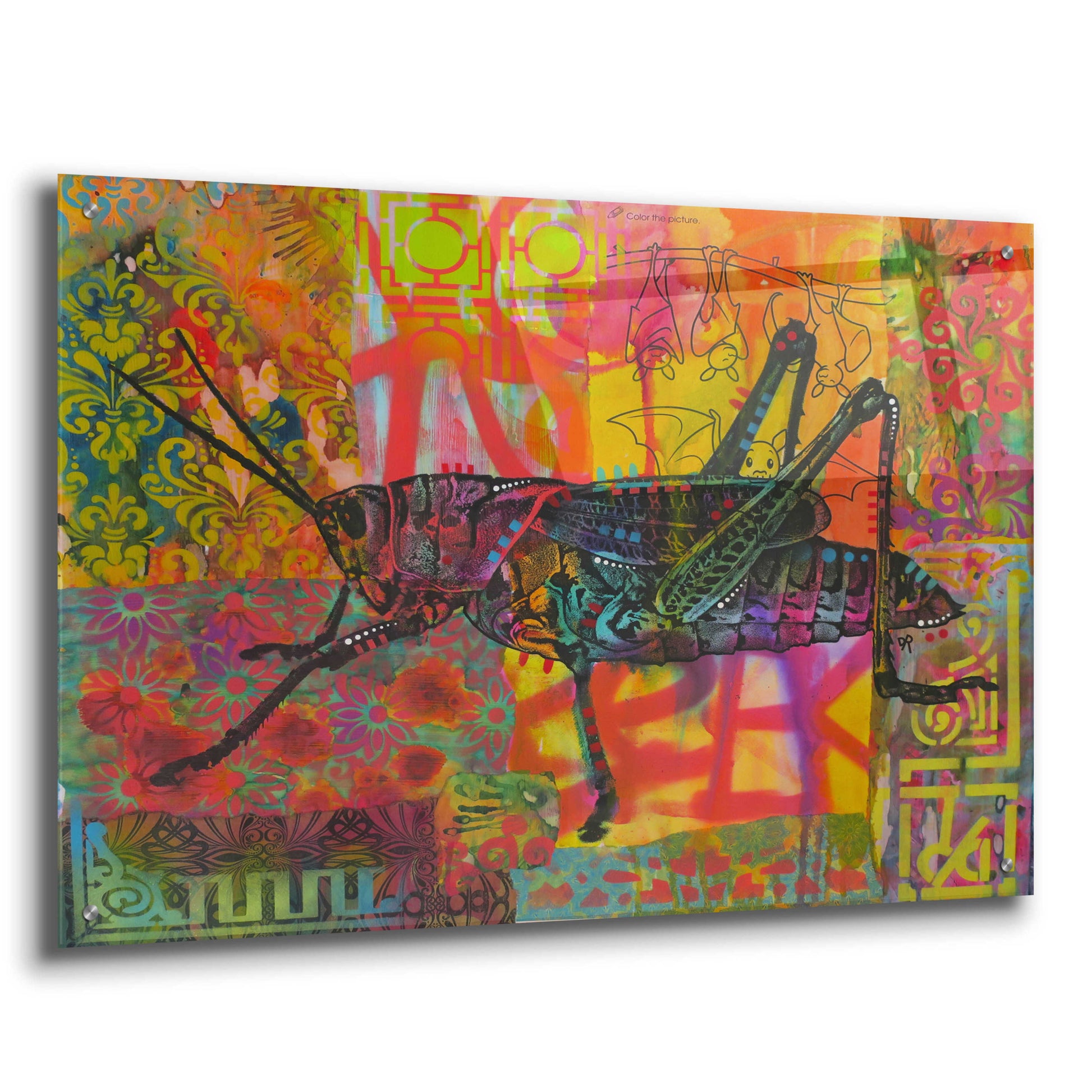 Epic Art 'Grasshopper' by Dean Russo, Acrylic Glass Wall Art,36x24