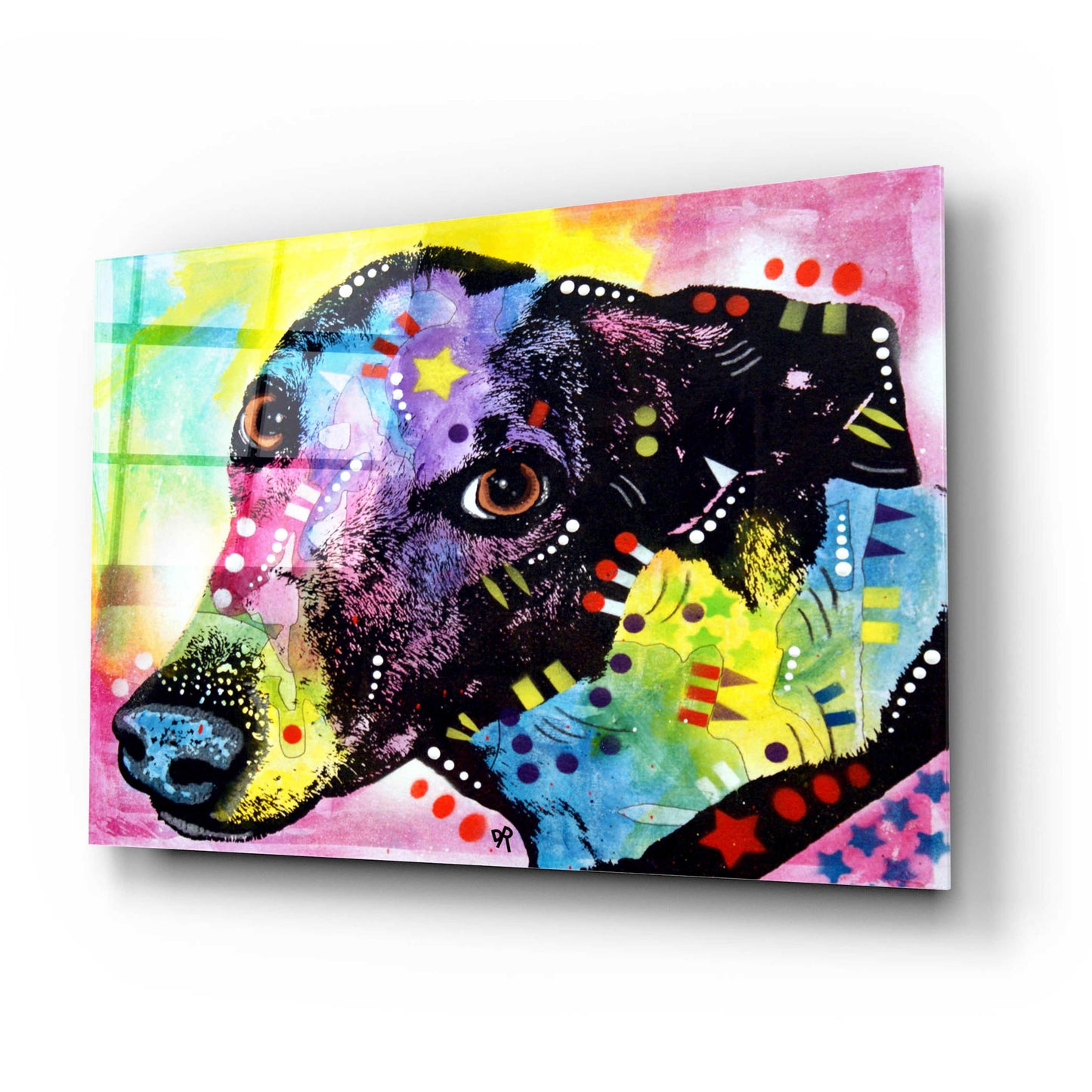 Epic Art 'Greyt' by Dean Russo, Acrylic Glass Wall Art,24x16