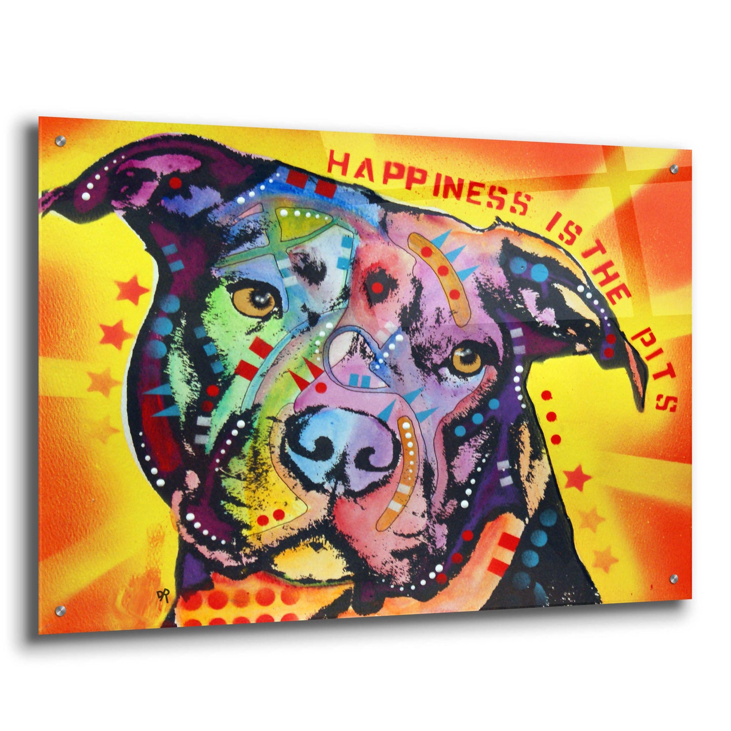 Epic Art 'Happiness Is The Pits Sunray' by Dean Russo, Acrylic Glass Wall Art,36x24