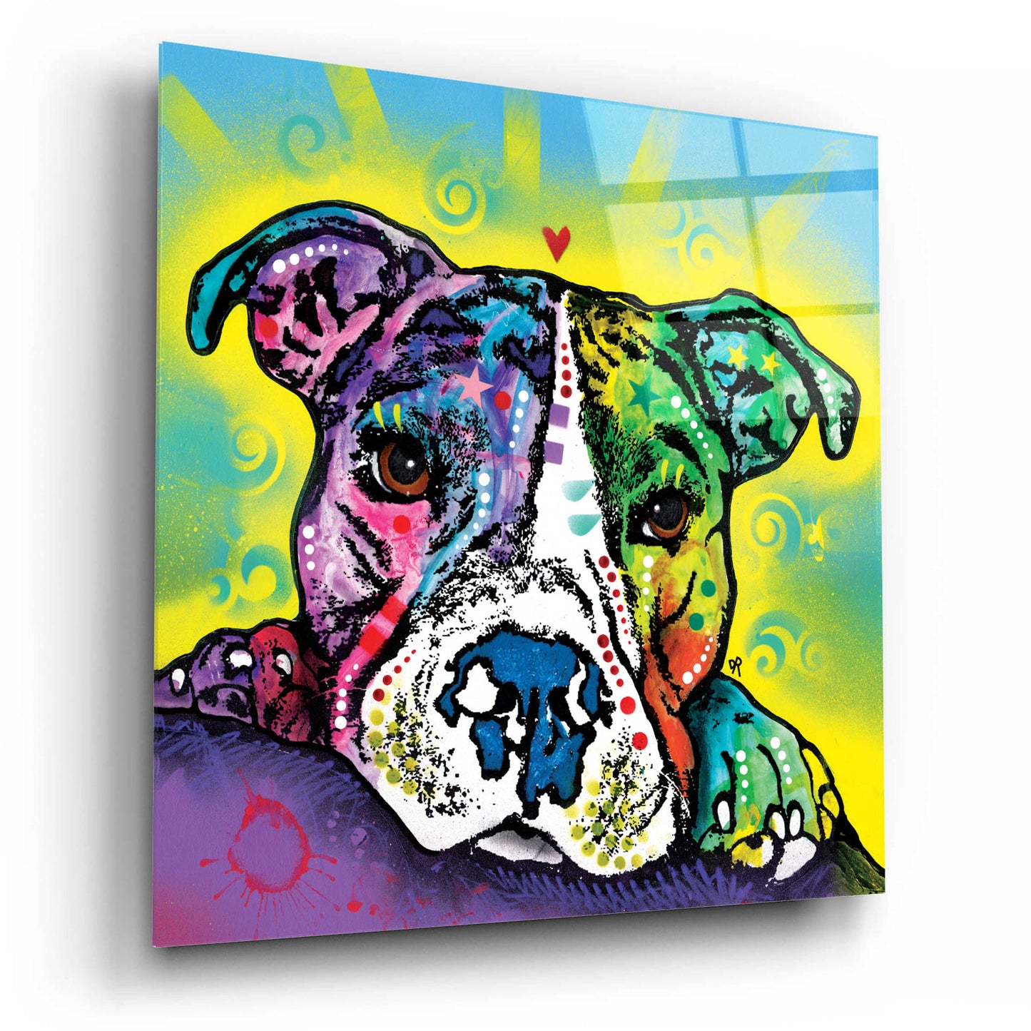 Epic Art 'The Baby Pit Bull' by Dean Russo, Acrylic Glass Wall Art,12x12