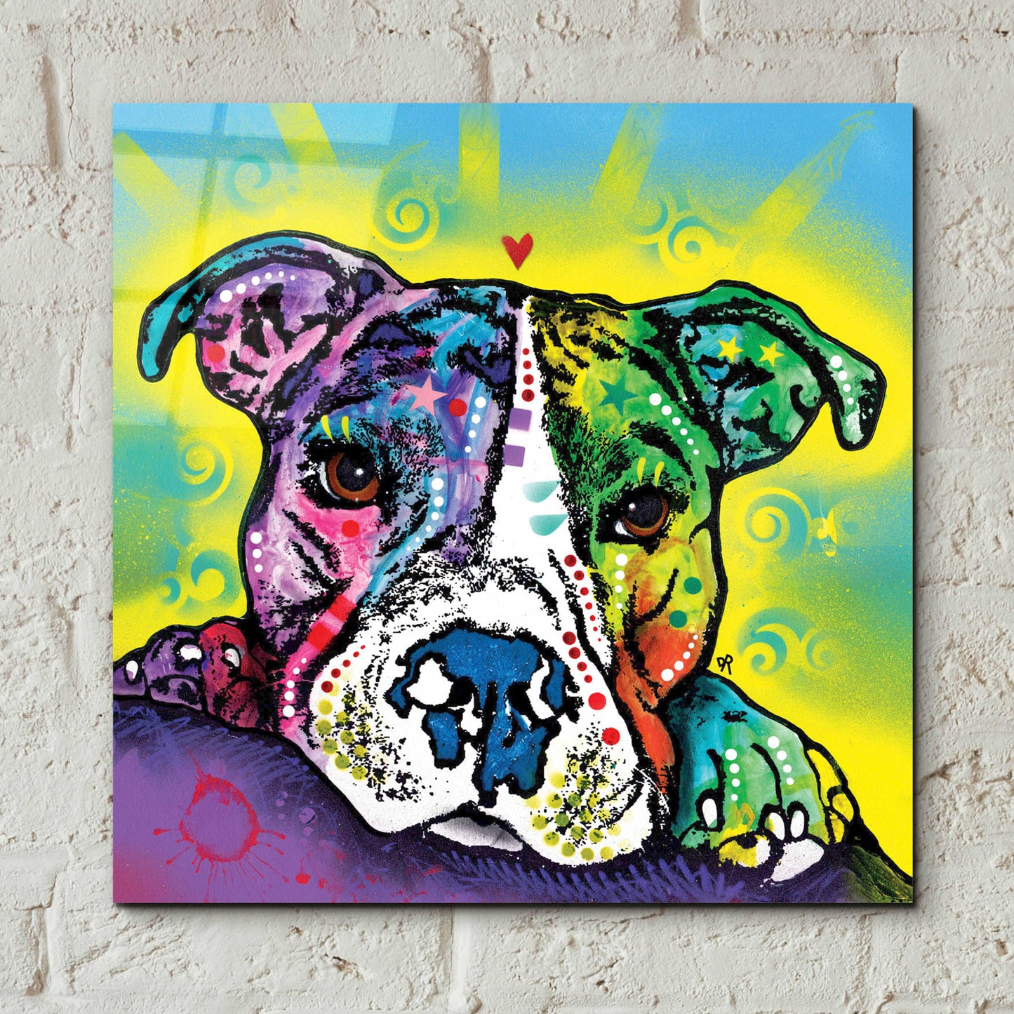 Epic Art 'The Baby Pit Bull' by Dean Russo, Acrylic Glass Wall Art,12x12