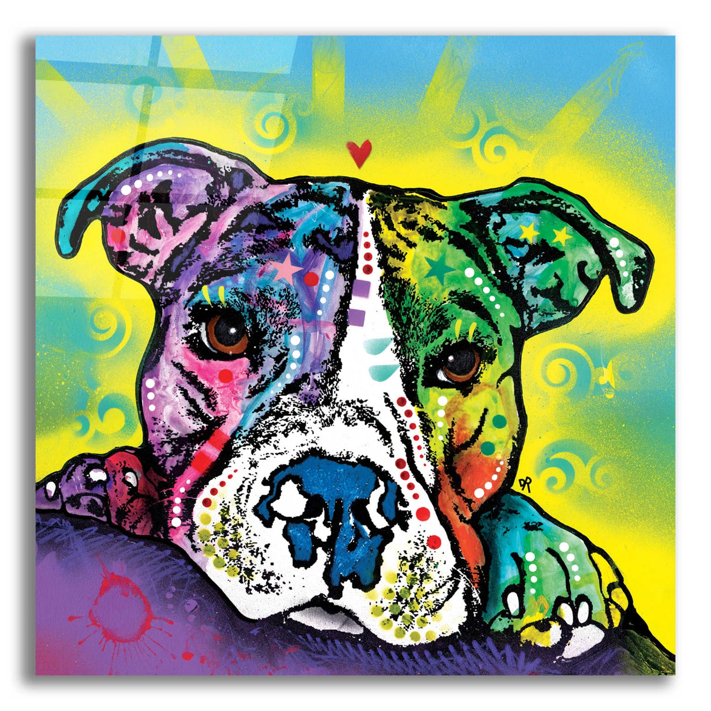 Epic Art 'The Baby Pit Bull' by Dean Russo, Acrylic Glass Wall Art,12x12