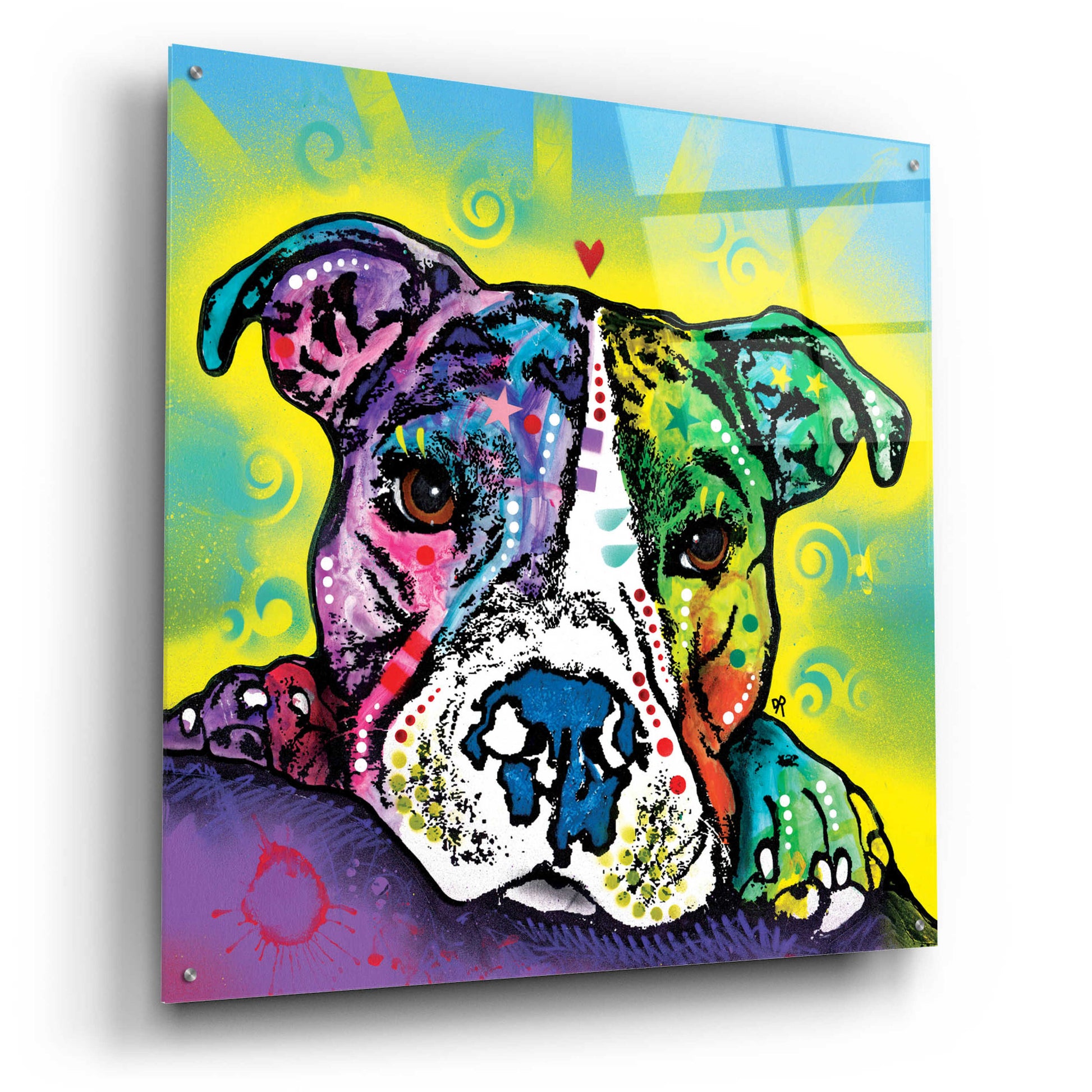 Epic Art 'The Baby Pit Bull' by Dean Russo, Acrylic Glass Wall Art,36x36