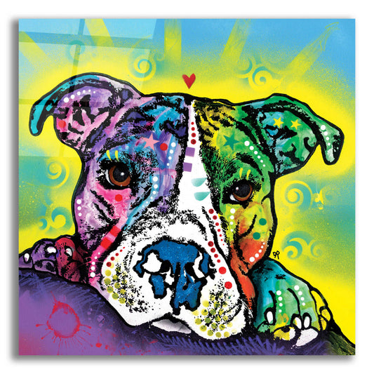 Epic Art 'The Baby Pit Bull' by Dean Russo, Acrylic Glass Wall Art