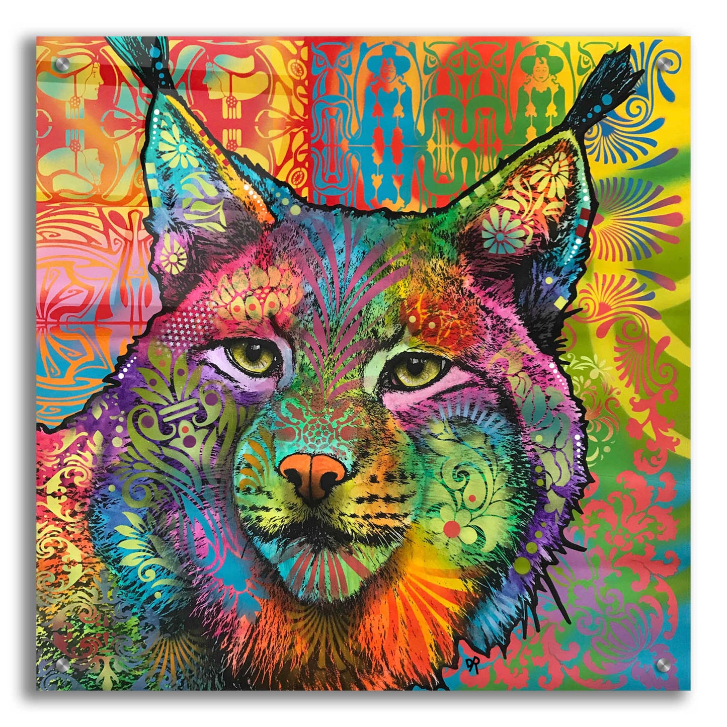 Epic Art 'The Lynx' by Dean Russo, Acrylic Glass Wall Art,24x24