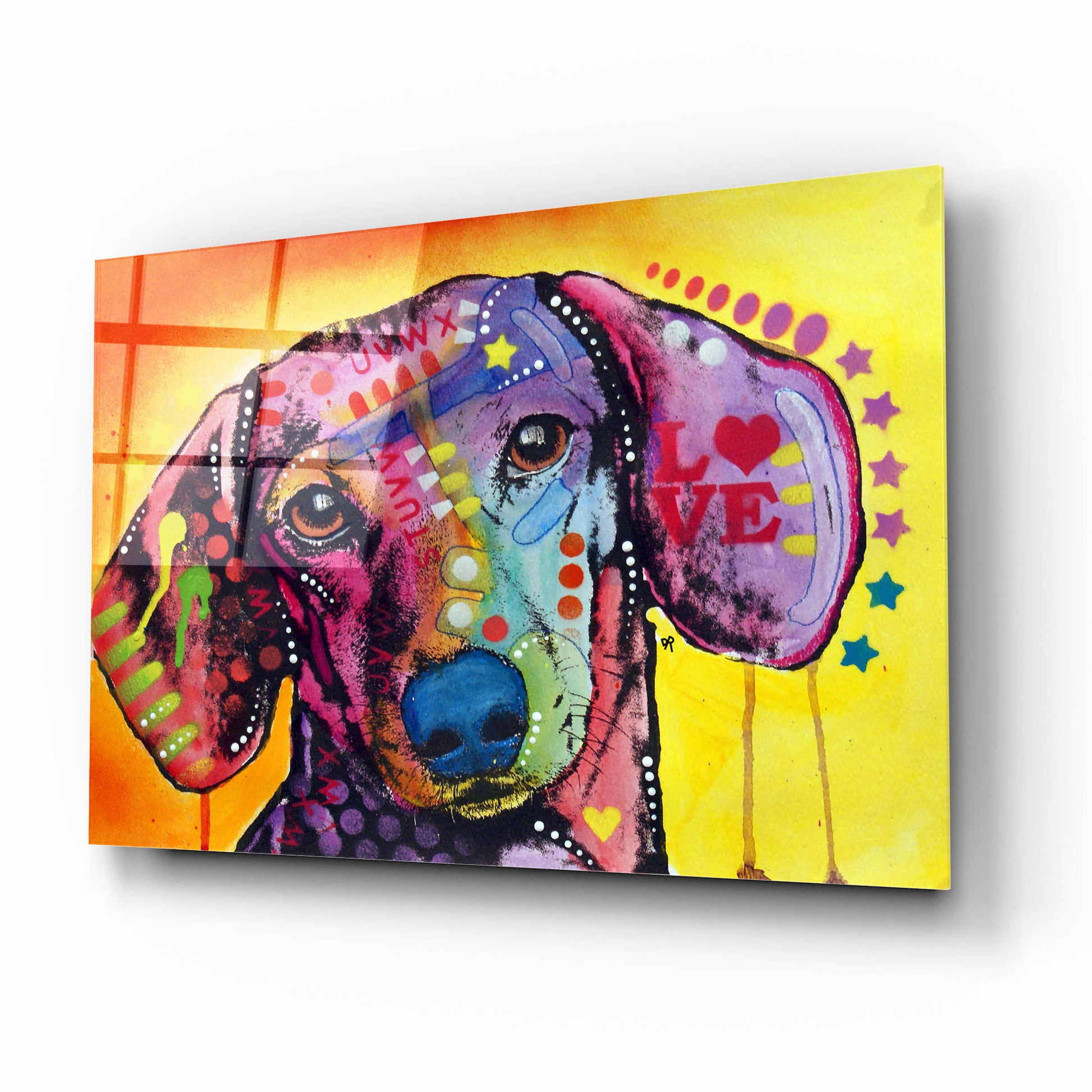 Epic Art 'Tilt Dachshund Love' by Dean Russo, Acrylic Glass Wall Art,16x12