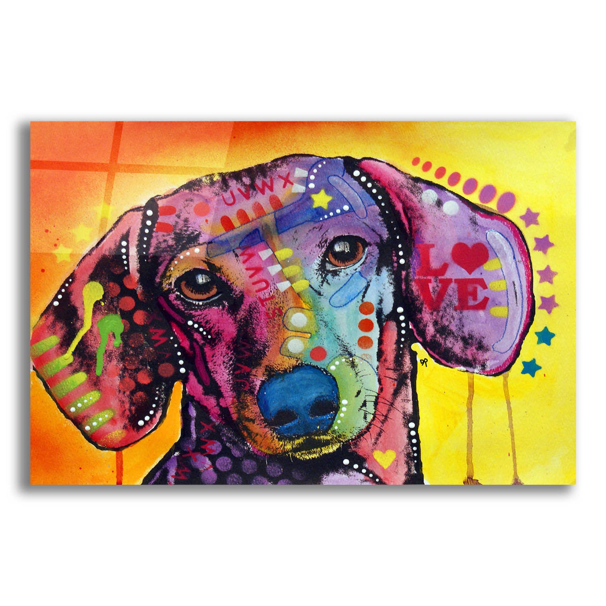 Epic Art 'Tilt Dachshund Love' by Dean Russo, Acrylic Glass Wall Art,16x12