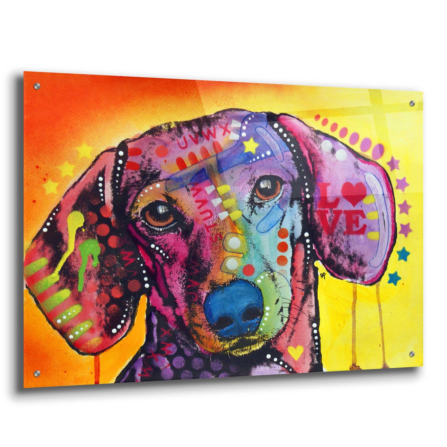 Epic Art 'Tilt Dachshund Love' by Dean Russo, Acrylic Glass Wall Art,36x24