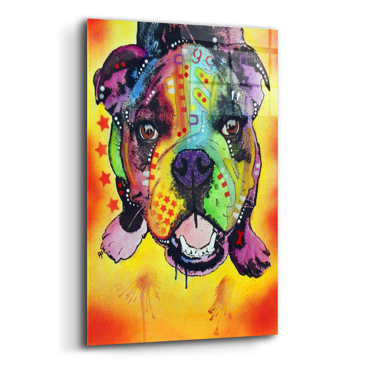 Epic Art 'Baby Bulldog' by Dean Russo, Acrylic Glass Wall Art,12x16