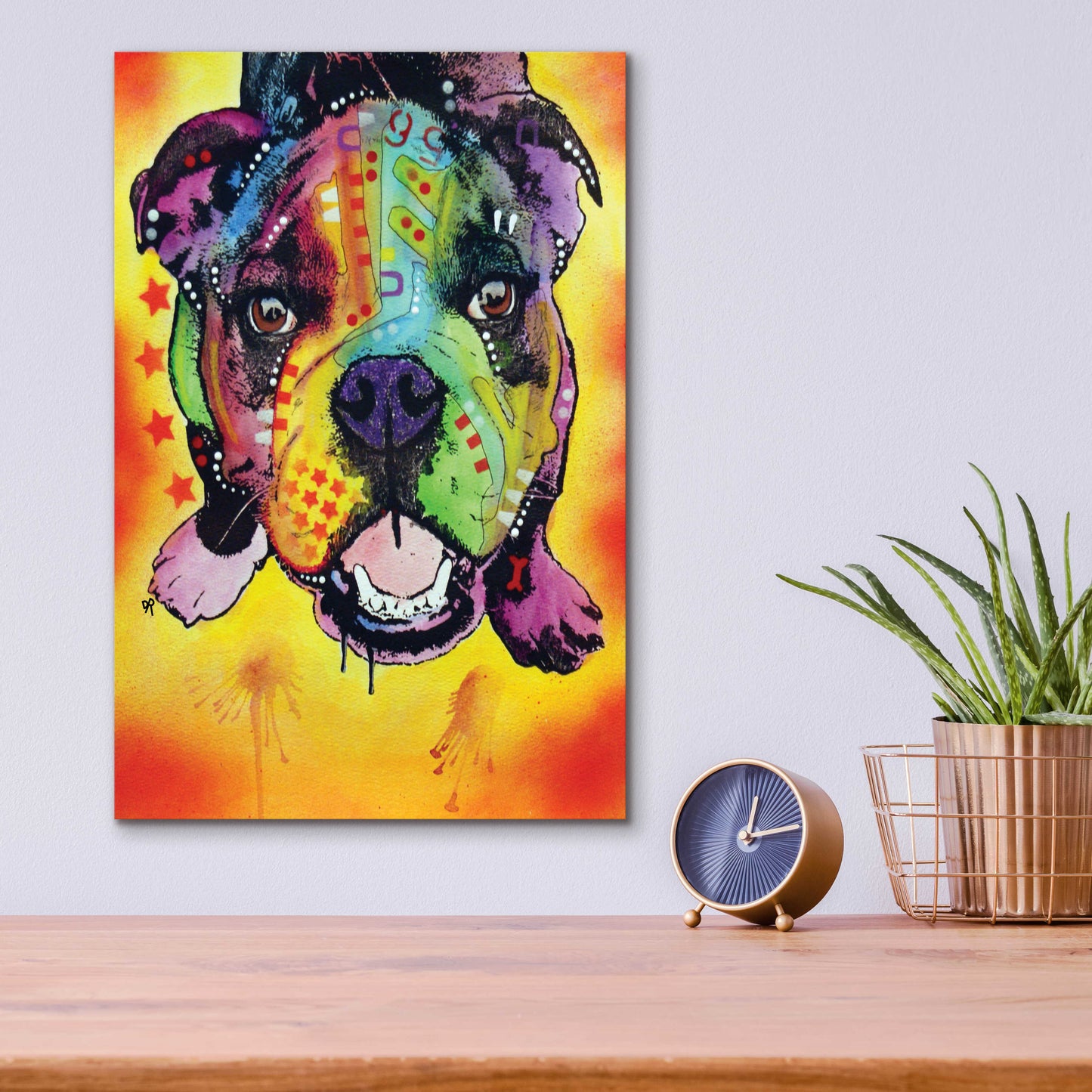 Epic Art 'Baby Bulldog' by Dean Russo, Acrylic Glass Wall Art,12x16