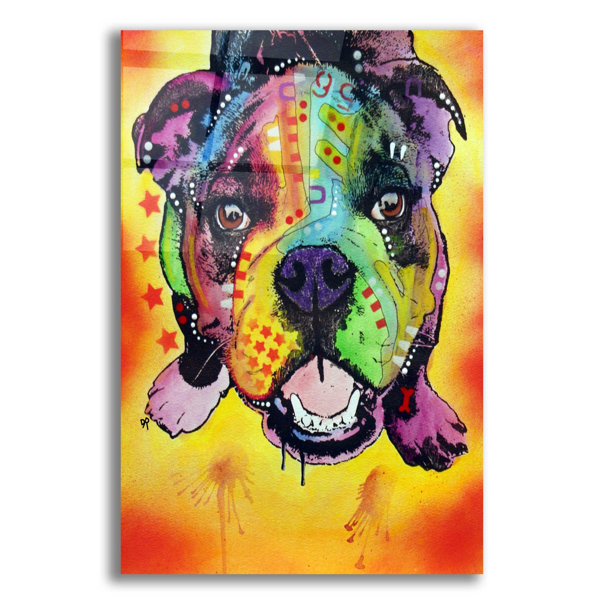 Epic Art 'Baby Bulldog' by Dean Russo, Acrylic Glass Wall Art,12x16