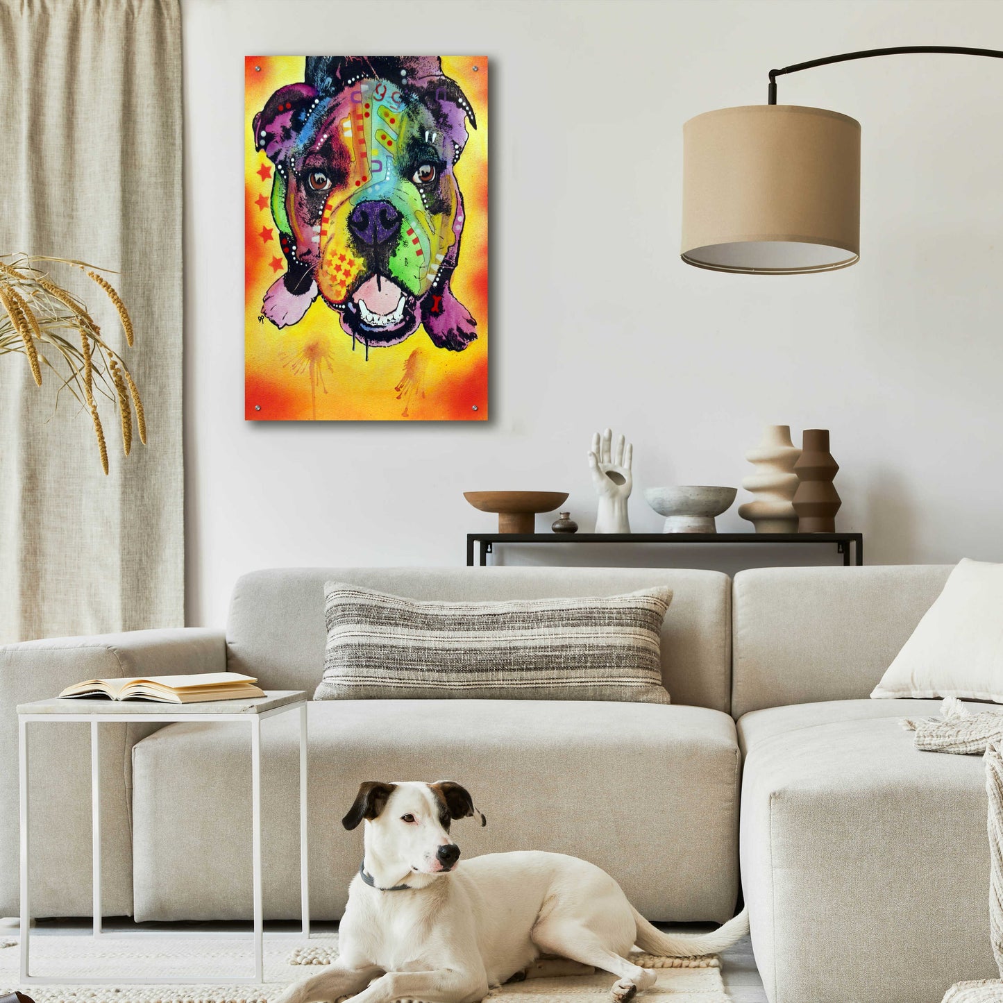 Epic Art 'Baby Bulldog' by Dean Russo, Acrylic Glass Wall Art,24x36