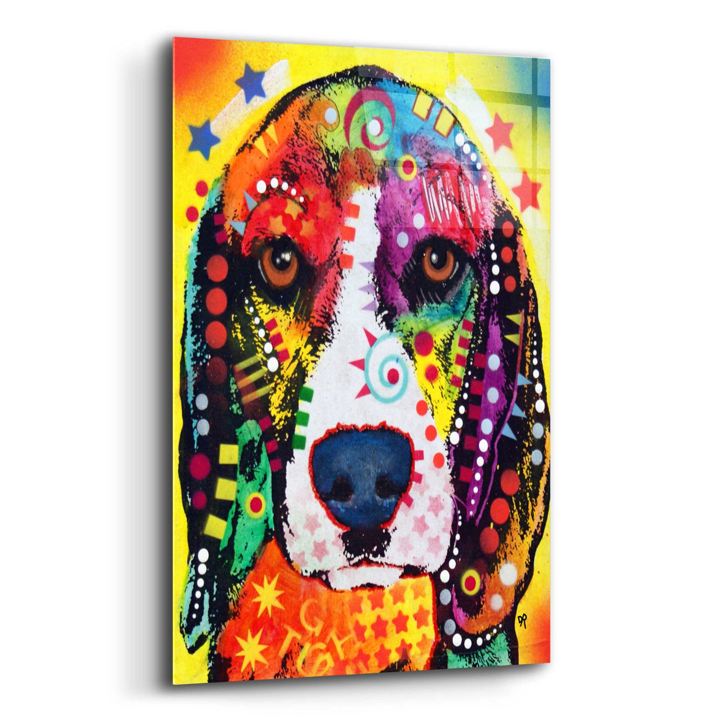 Epic Art 'Beagle Face' by Dean Russo, Acrylic Glass Wall Art,12x16