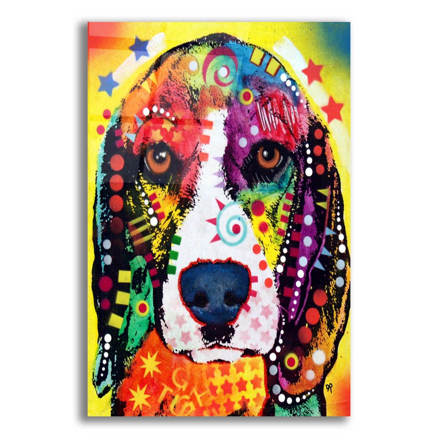 Epic Art 'Beagle Face' by Dean Russo, Acrylic Glass Wall Art,12x16