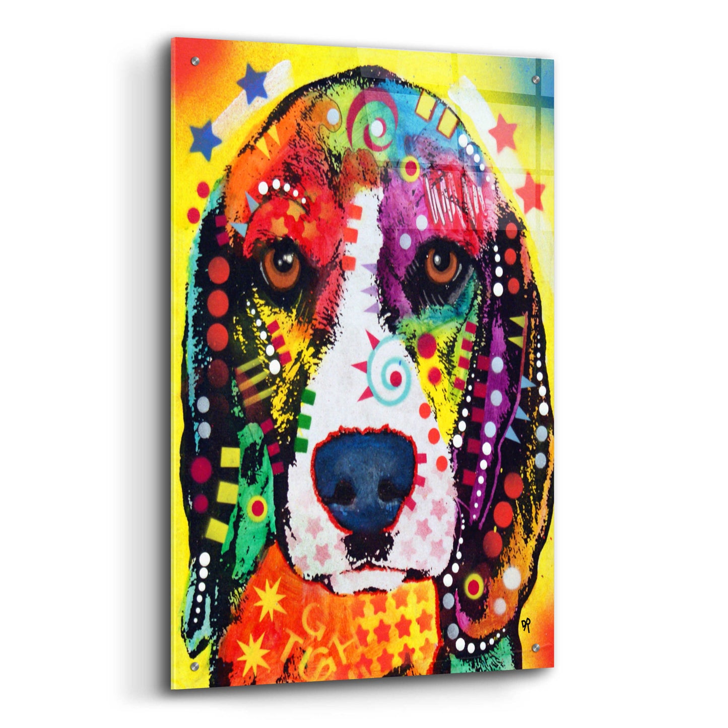 Epic Art 'Beagle Face' by Dean Russo, Acrylic Glass Wall Art,24x36