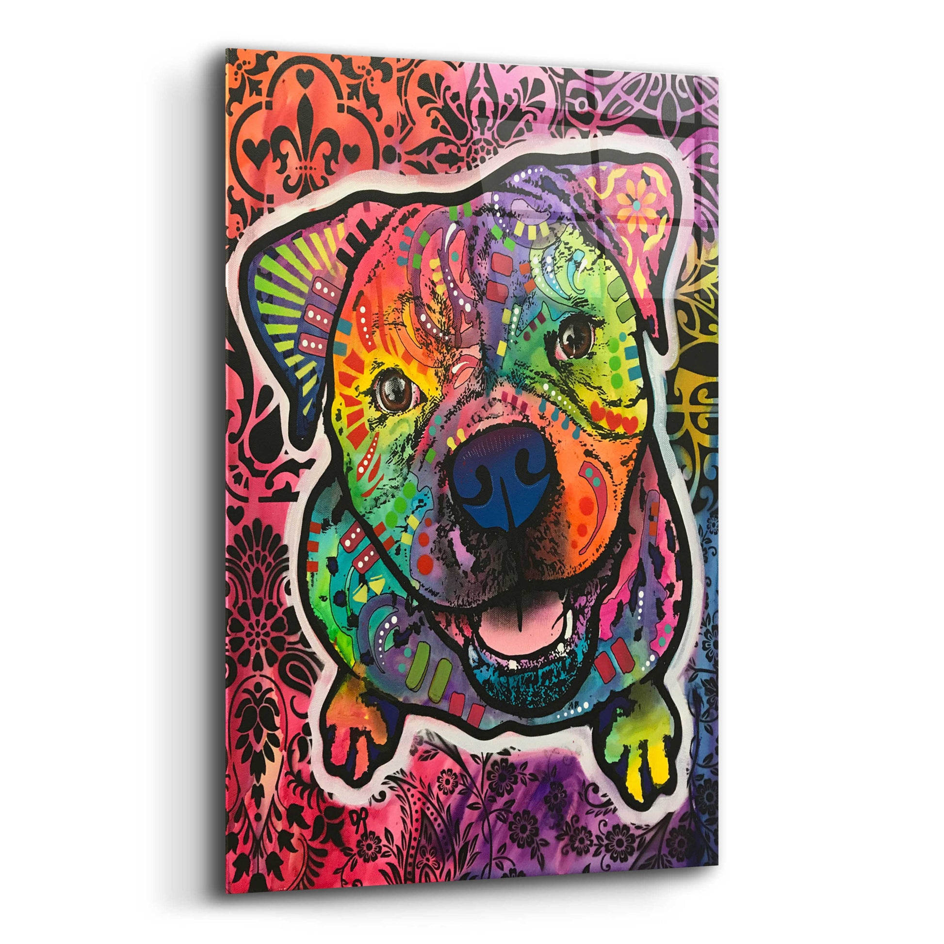 Epic Art 'Pete' by Dean Russo, Acrylic Glass Wall Art,12x16