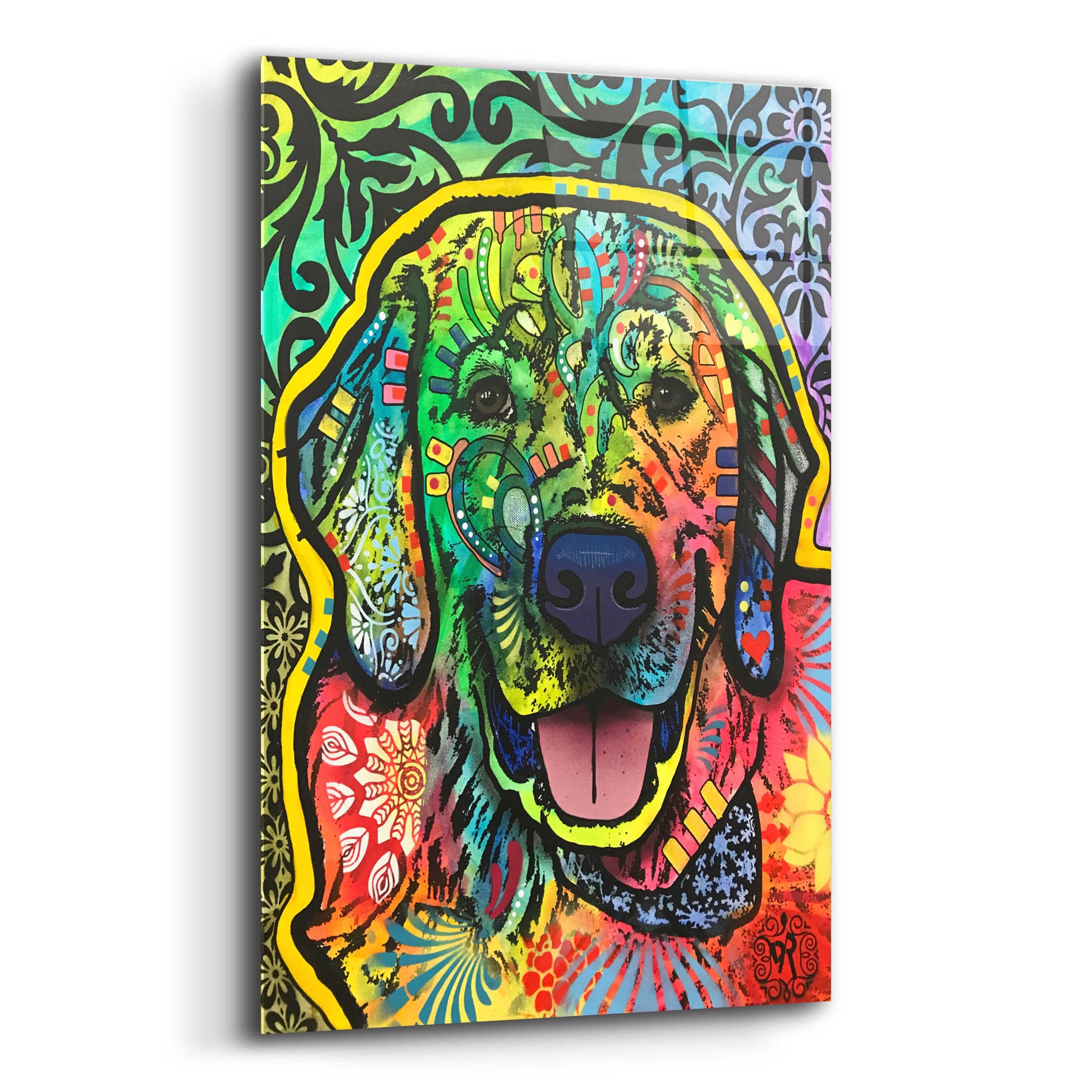 Epic Art 'Mikey ' by Dean Russo, Acrylic Glass Wall Art,12x16