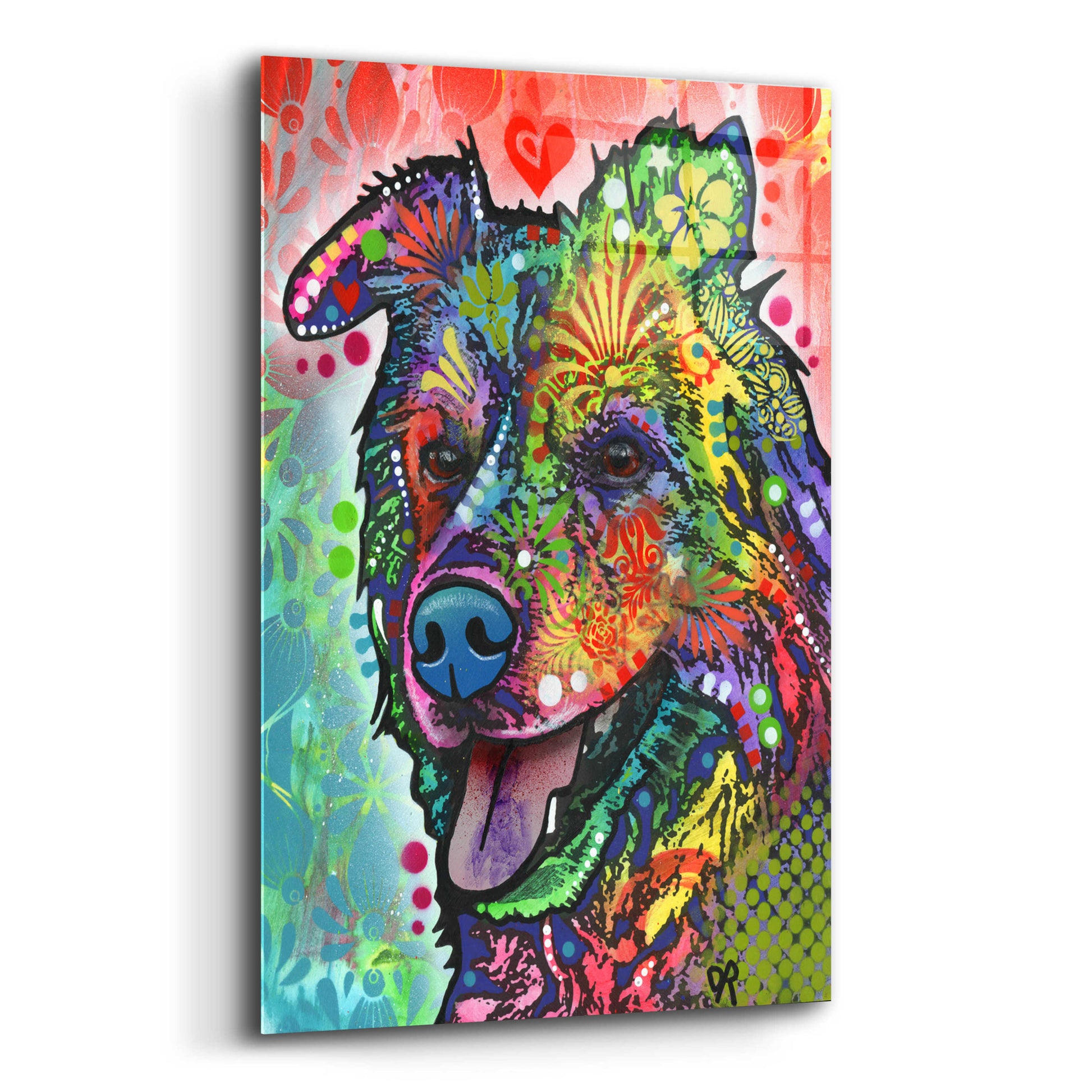 Epic Art 'Molly Rose' by Dean Russo, Acrylic Glass Wall Art,12x16