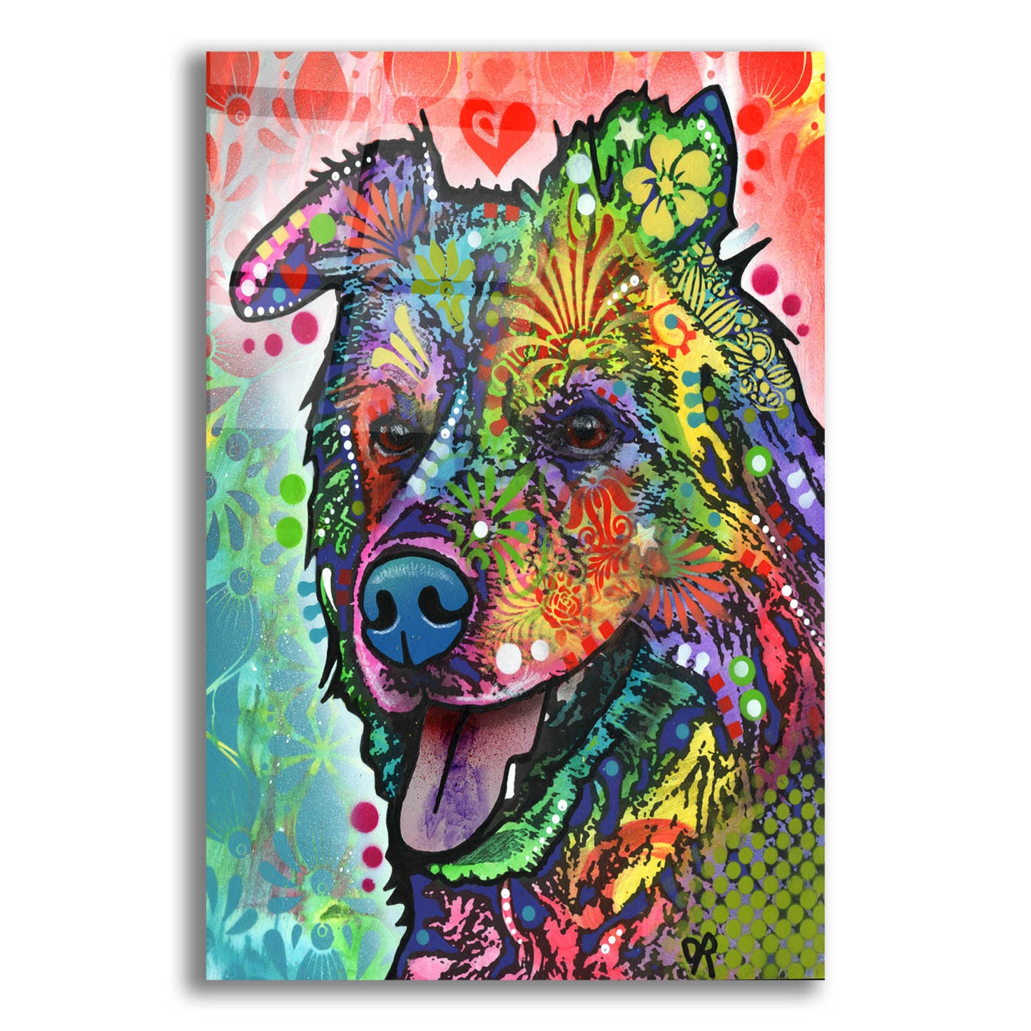 Epic Art 'Molly Rose' by Dean Russo, Acrylic Glass Wall Art,12x16