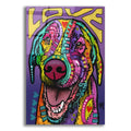 Epic Art 'Orion' by Dean Russo, Acrylic Glass Wall Art