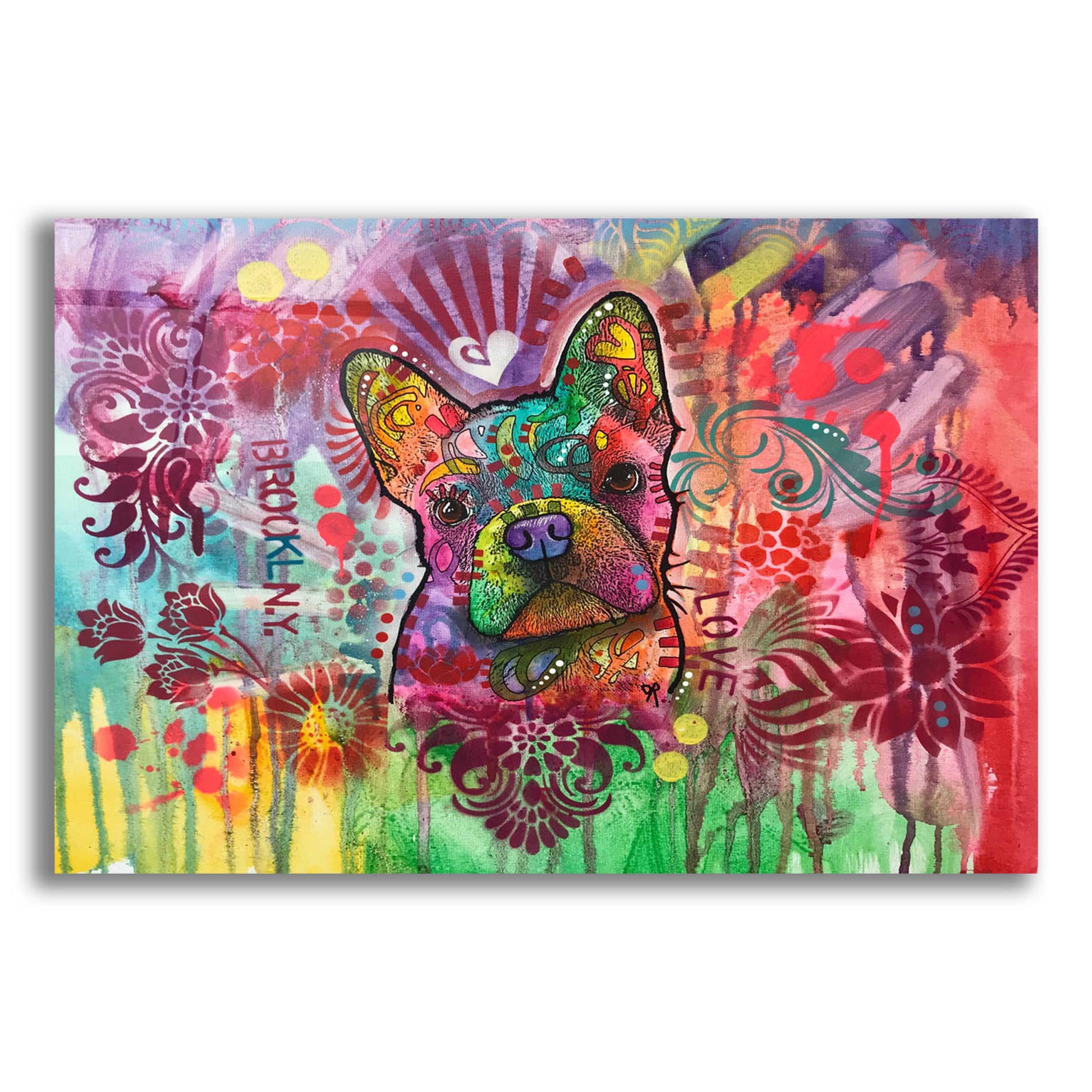 Epic Art 'Frenchie Jacket' by Dean Russo, Acrylic Glass Wall Art,16x12