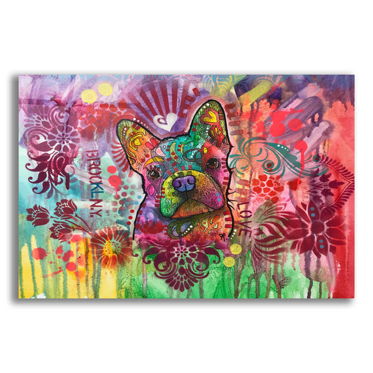 Epic Art 'Frenchie Jacket' by Dean Russo, Acrylic Glass Wall Art