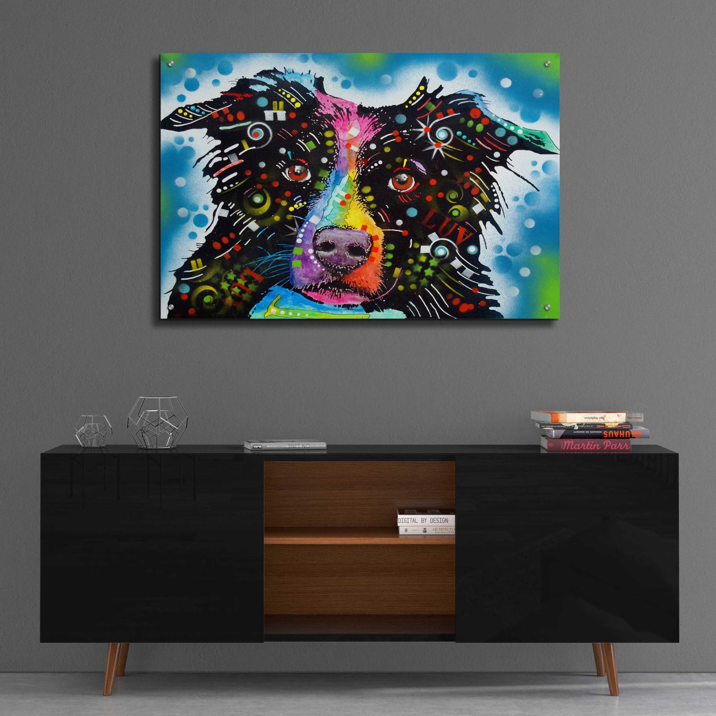Epic Art 'Border Collie 3' by Dean Russo, Acrylic Glass Wall Art,36x24
