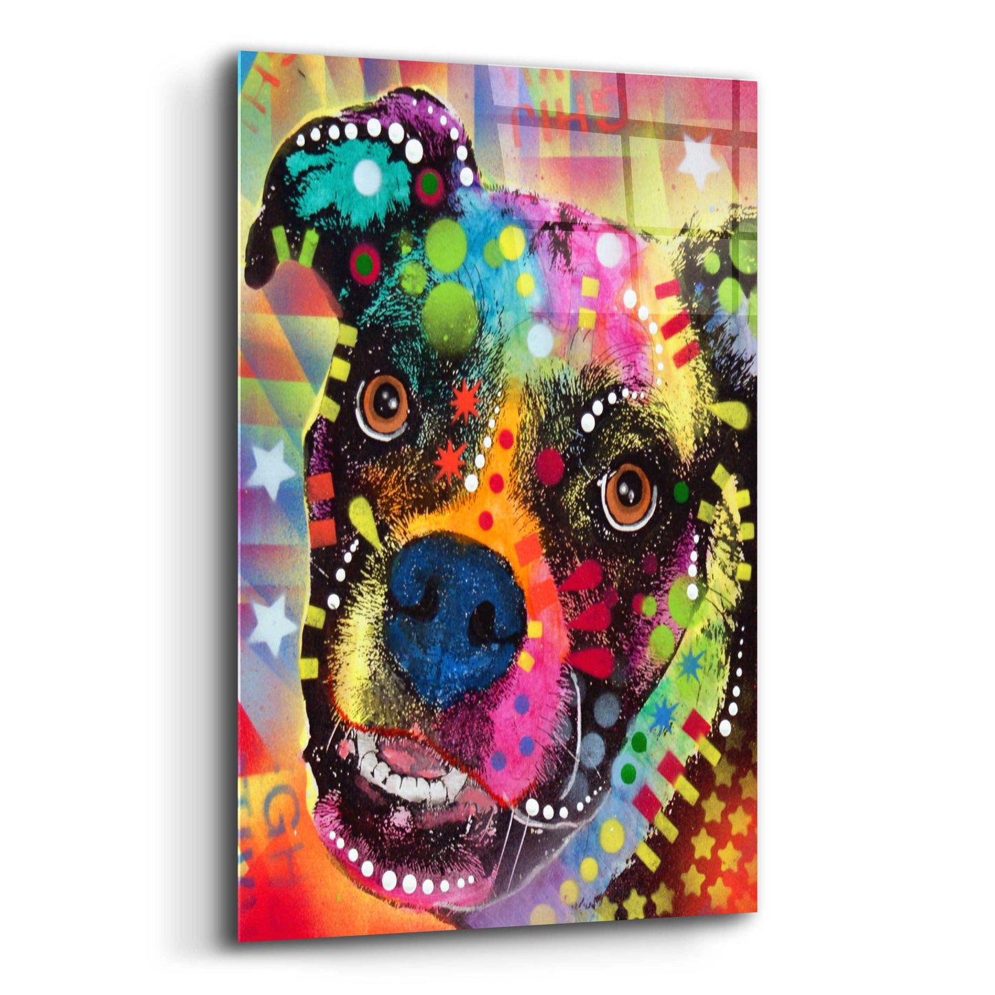 Epic Art 'Boxer Cubism 2' by Dean Russo, Acrylic Glass Wall Art,12x16
