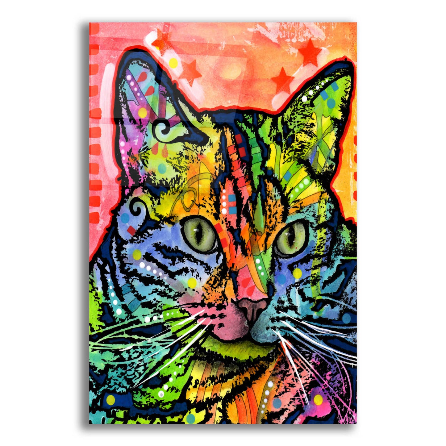 Epic Art 'CAT' by Dean Russo, Acrylic Glass Wall Art,12x16