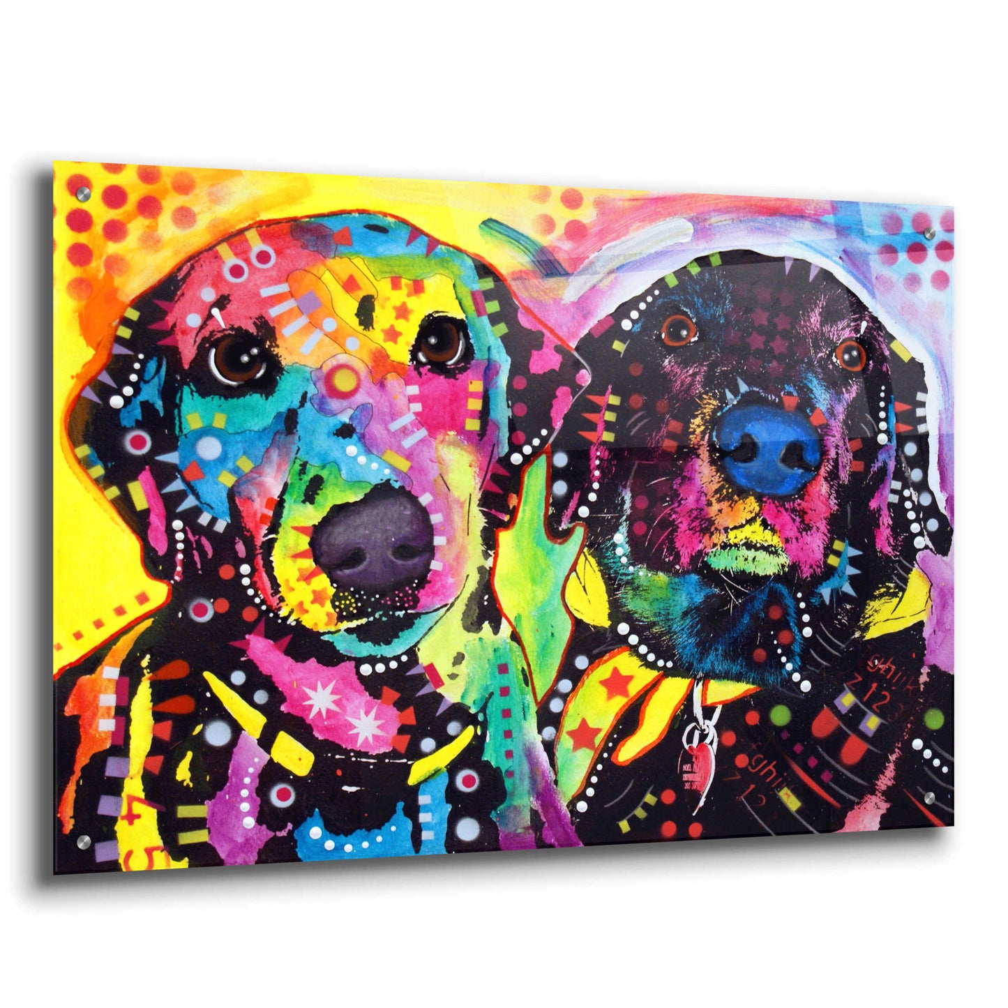 Epic Art 'Daisy and Noel' by Dean Russo, Acrylic Glass Wall Art,36x24