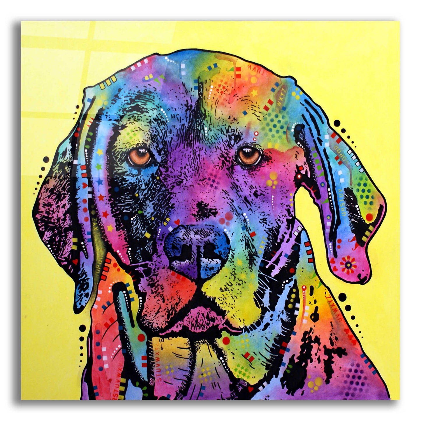 Epic Art 'Fixate Labrador' by Dean Russo, Acrylic Glass Wall Art,12x12