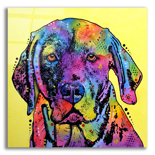 Epic Art 'Fixate Labrador' by Dean Russo, Acrylic Glass Wall Art