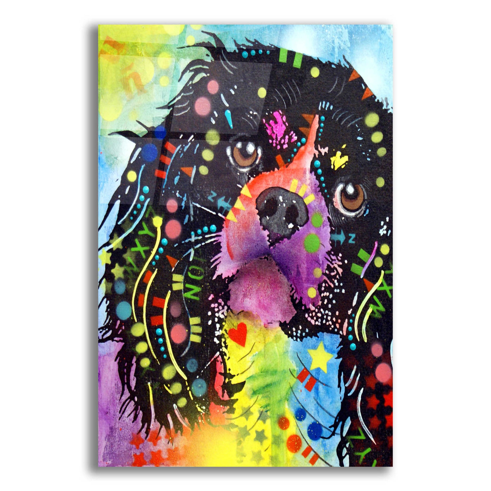 Epic Art 'King Charles 2' by Dean Russo, Acrylic Glass Wall Art,12x16