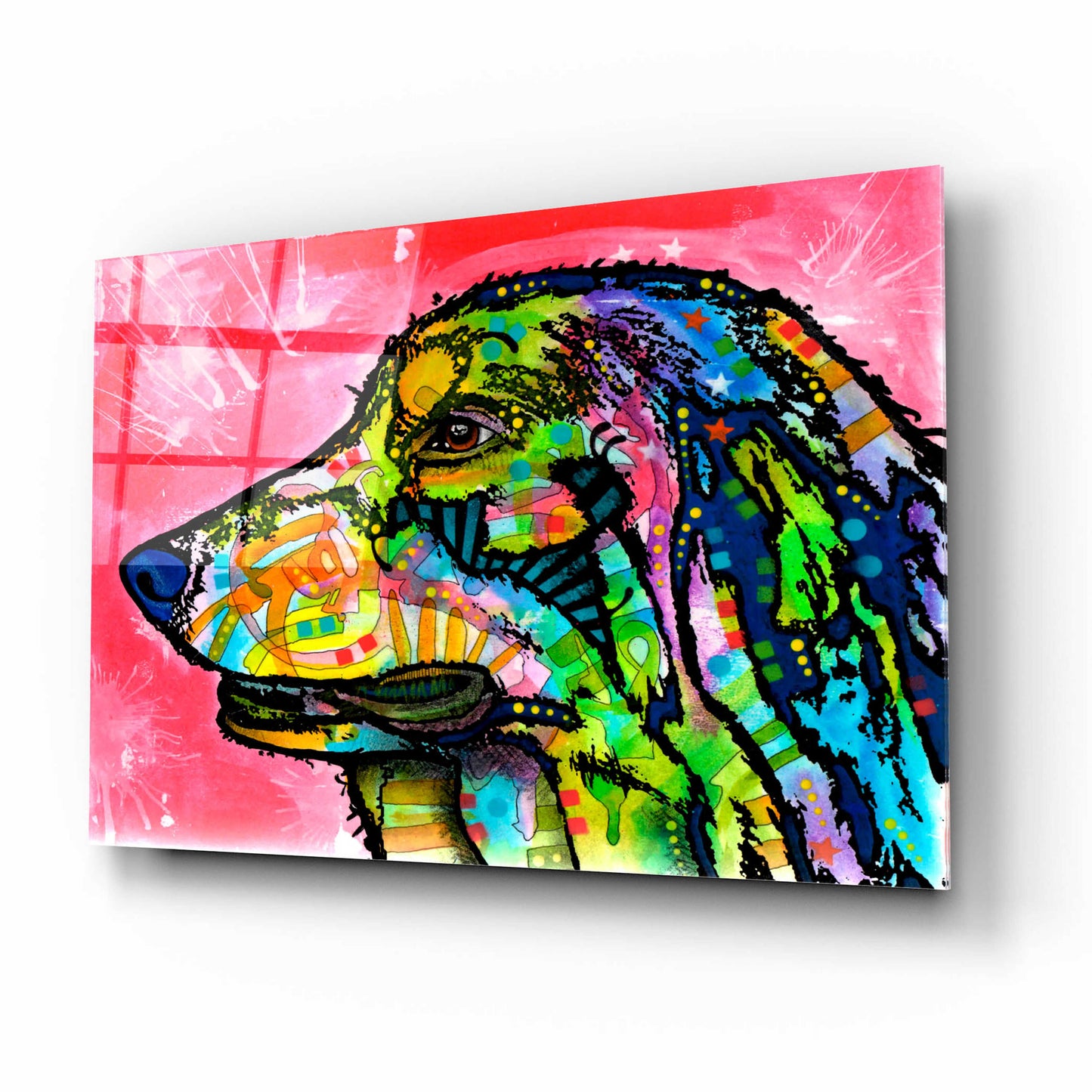 Epic Art 'Quinn' by Dean Russo, Acrylic Glass Wall Art,16x12