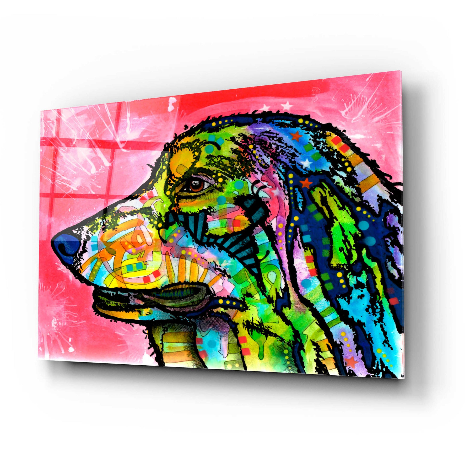 Epic Art 'Quinn' by Dean Russo, Acrylic Glass Wall Art,24x16