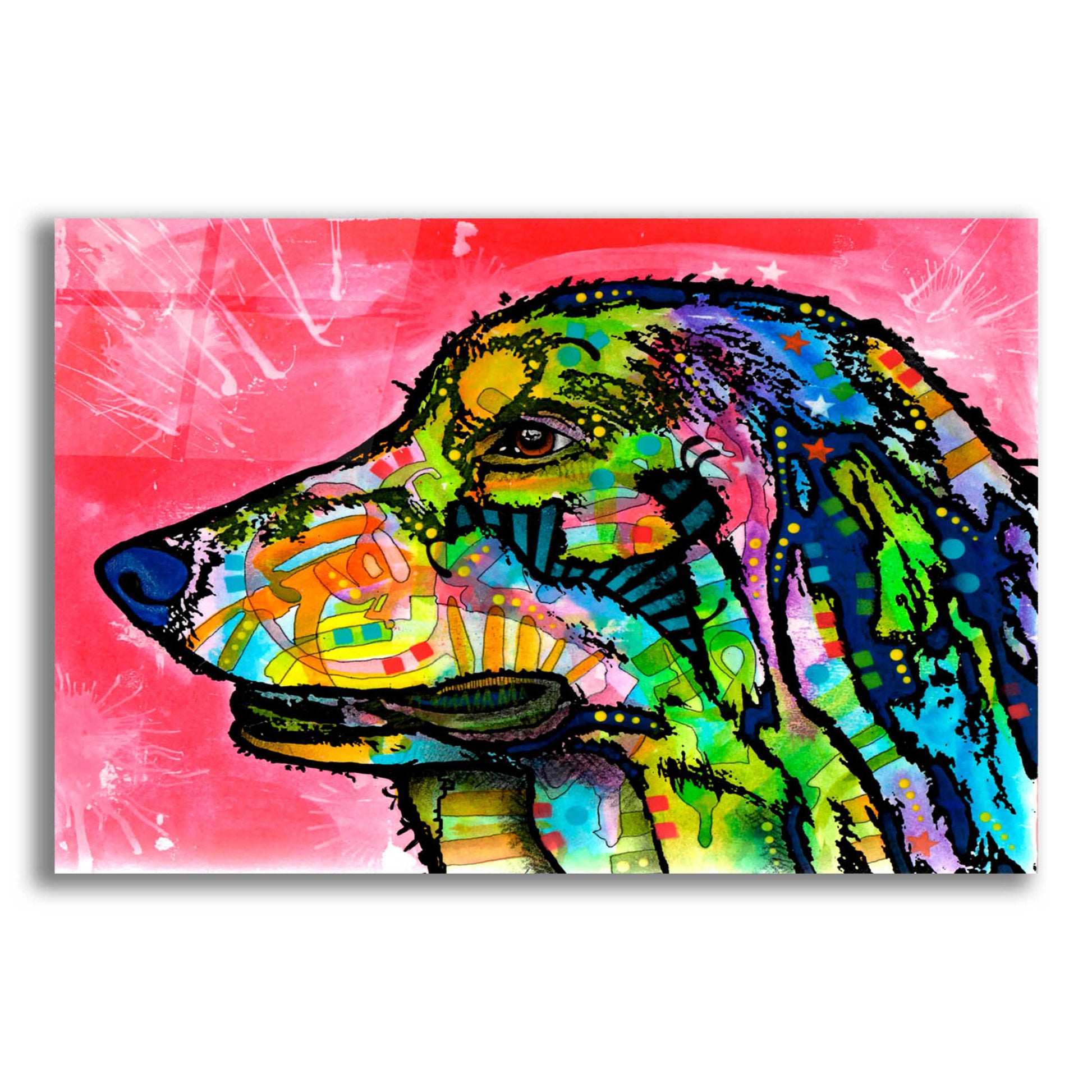 Epic Art 'Quinn' by Dean Russo, Acrylic Glass Wall Art,24x16