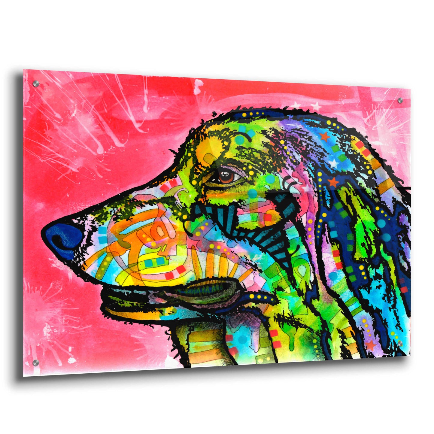 Epic Art 'Quinn' by Dean Russo, Acrylic Glass Wall Art,36x24