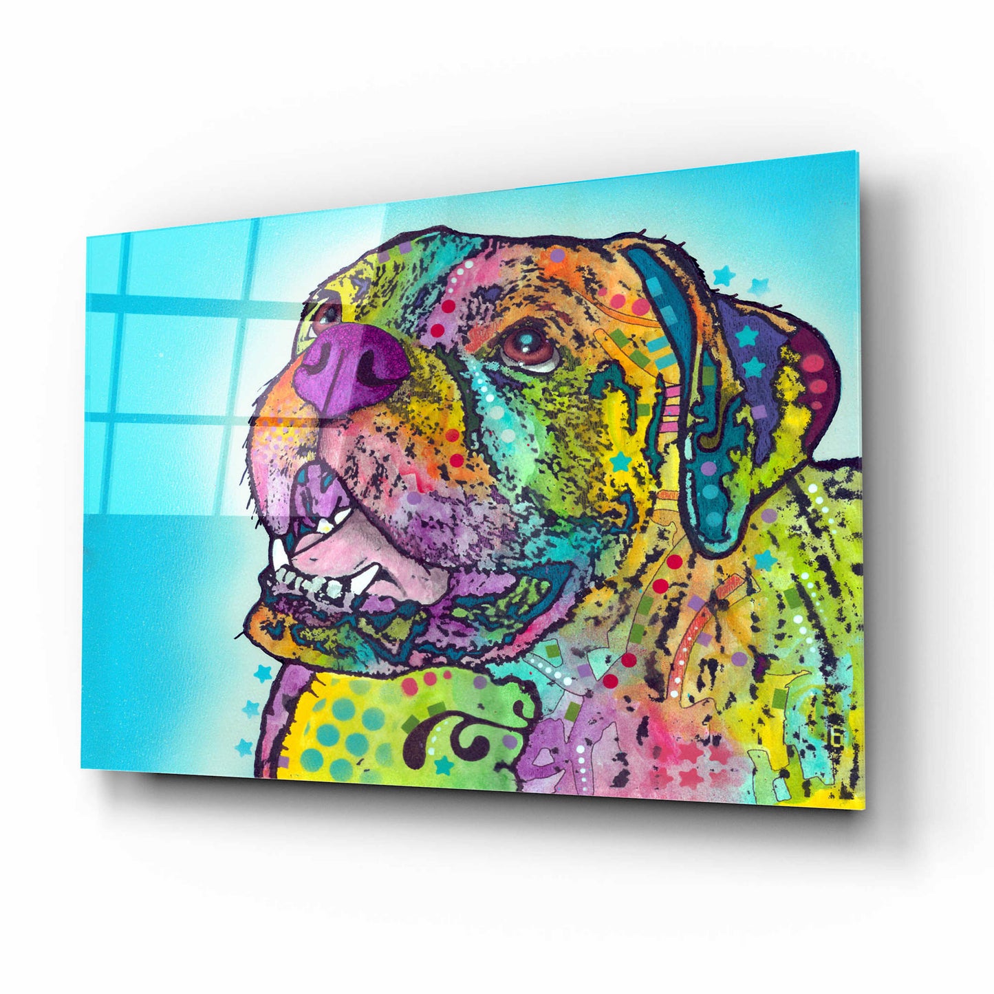 Epic Art 'Smiling Boxer' by Dean Russo, Acrylic Glass Wall Art,16x12