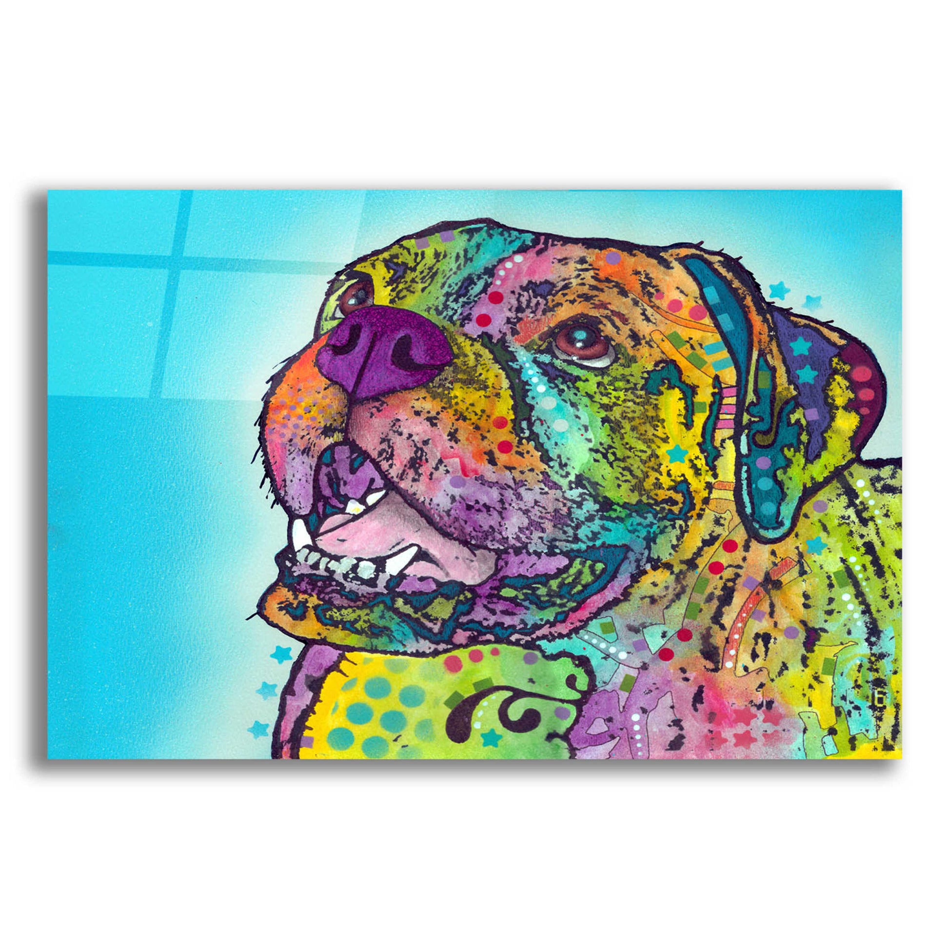 Epic Art 'Smiling Boxer' by Dean Russo, Acrylic Glass Wall Art,16x12