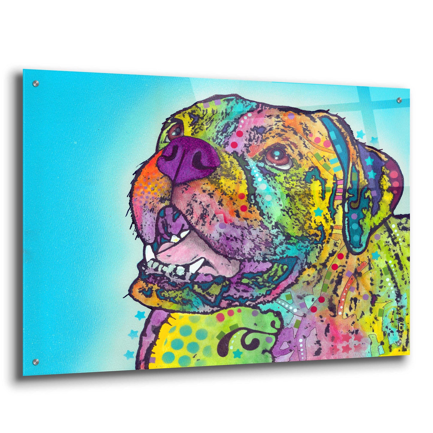 Epic Art 'Smiling Boxer' by Dean Russo, Acrylic Glass Wall Art,36x24