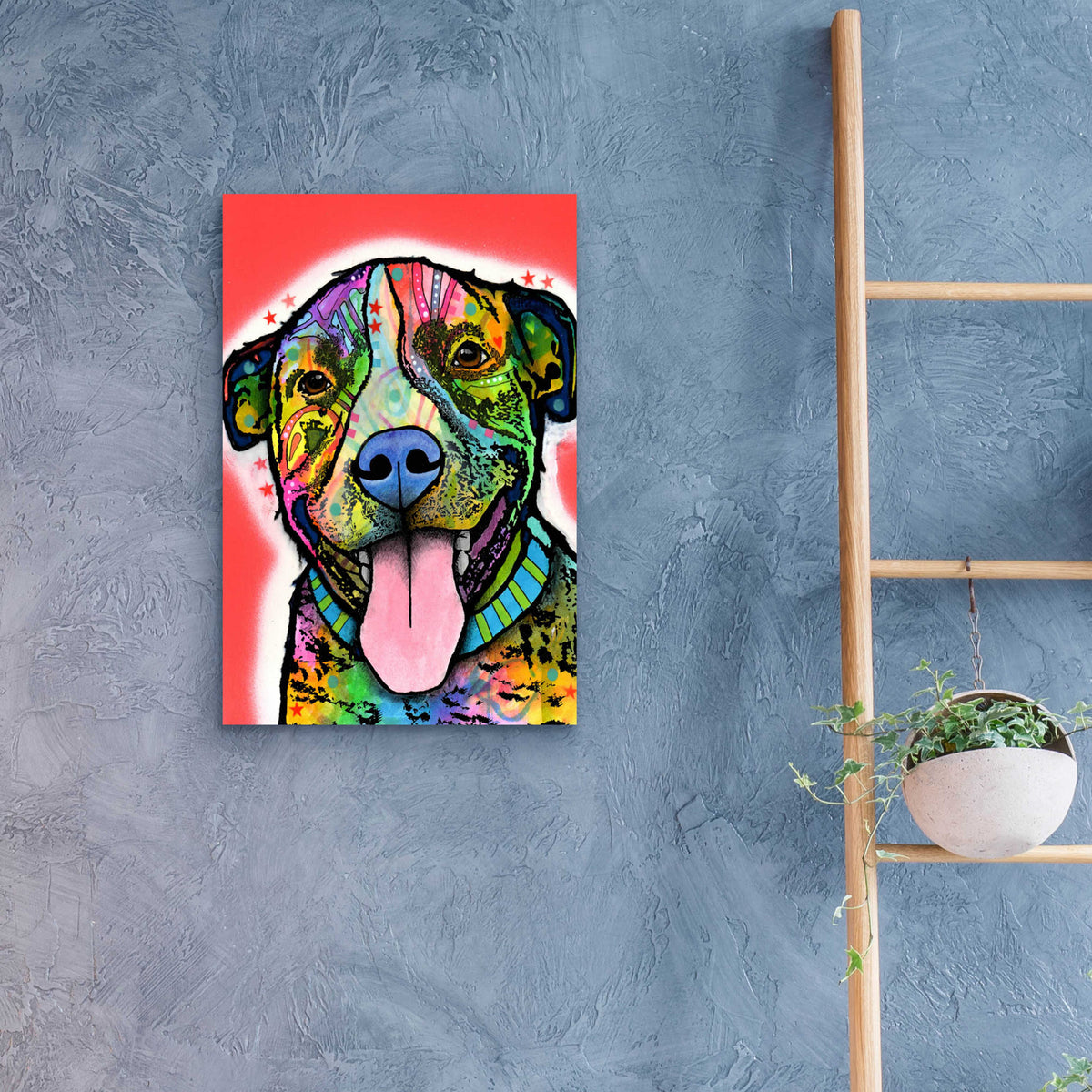 Epic Art 'Smiling Pit Bull zoey' by Dean Russo, Acrylic Glass Wall Art,16x24