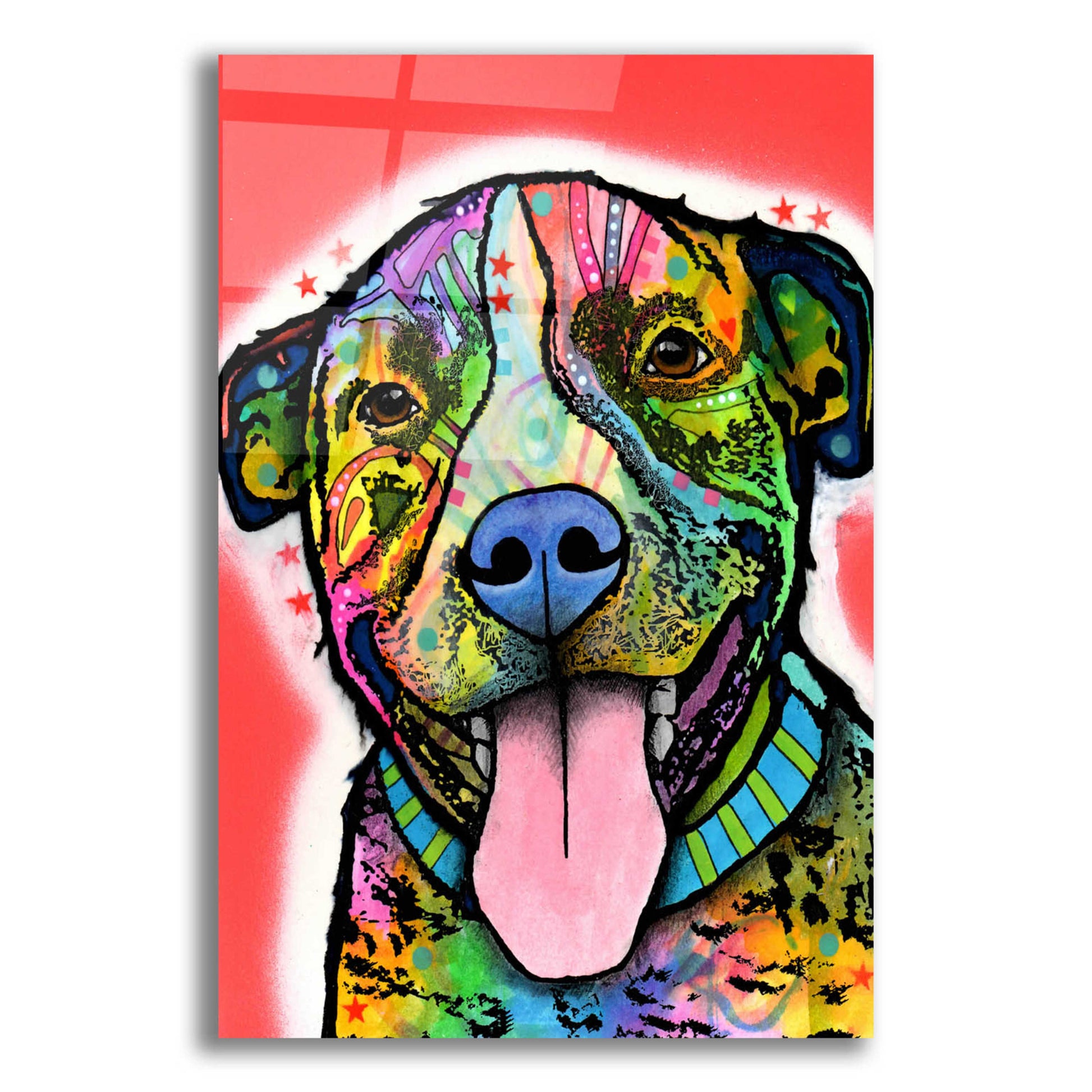 Epic Art 'Smiling Pit Bull zoey' by Dean Russo, Acrylic Glass Wall Art